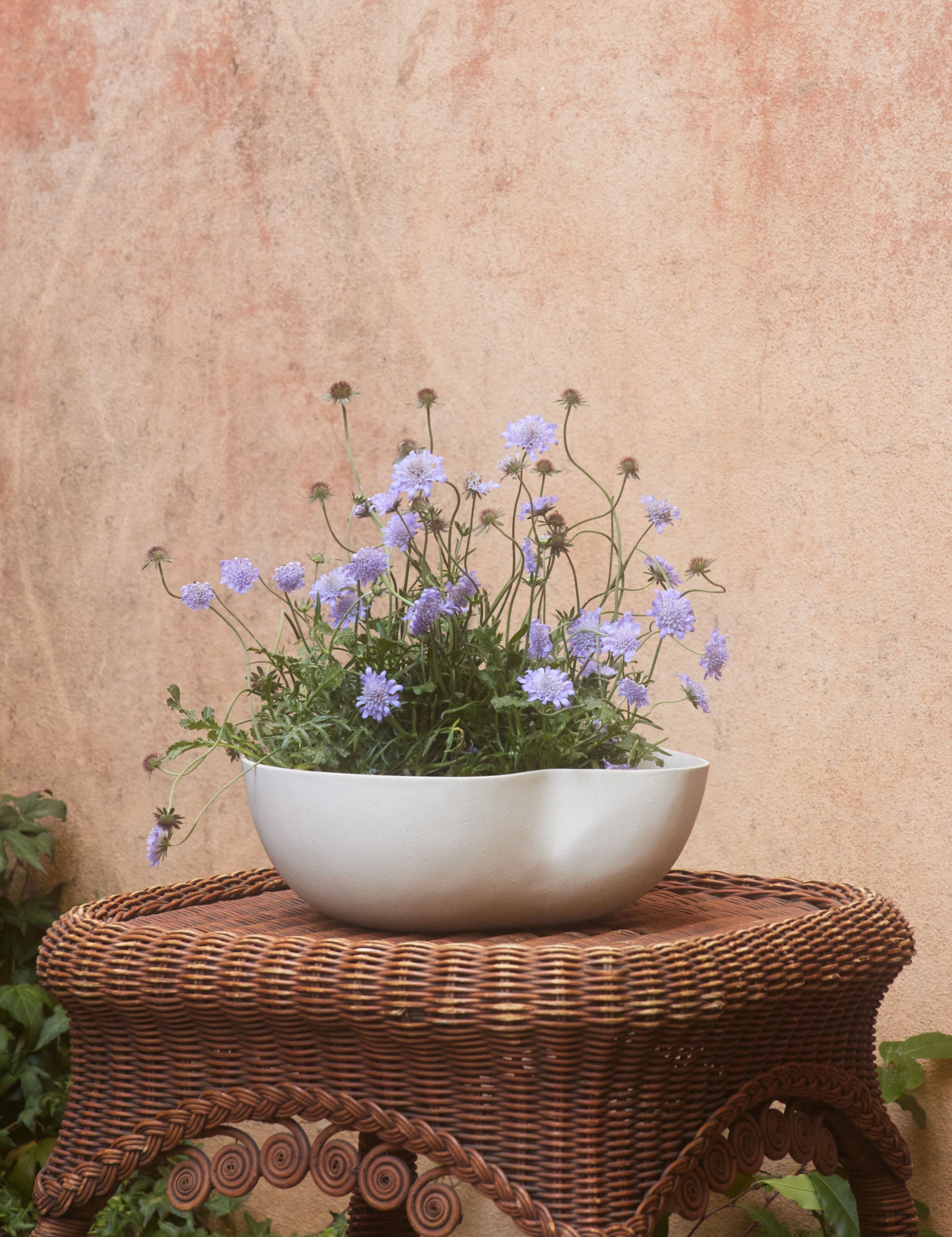 Lulu and Georgia Dempsy Low Planter by Sarah Sherman Samuel - view 4