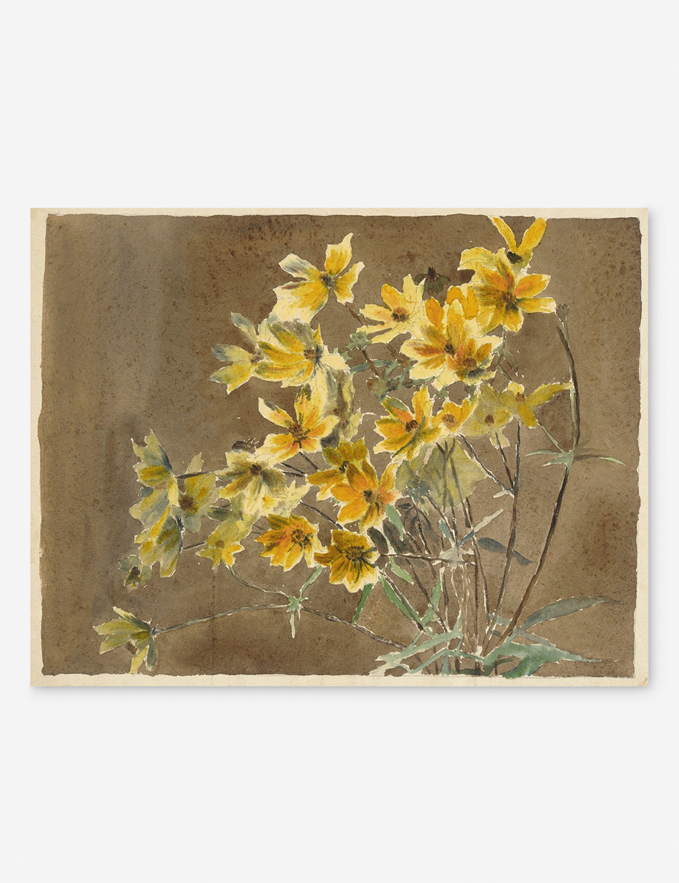 Yellow orange flower – Lulu and Georgia Yellow/Orange Flower with Border Print by Hannah Borger Overbeck