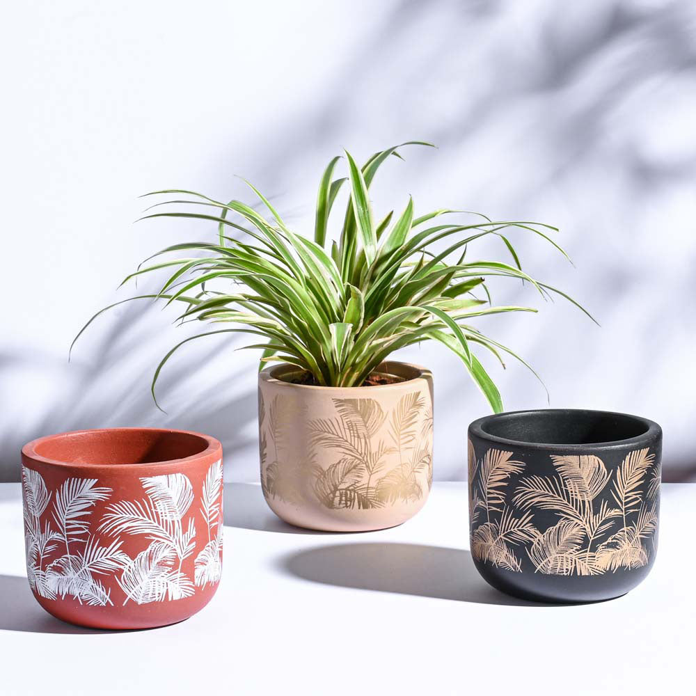 Ugaoo Sienna Terracotta Pots - Set of 3