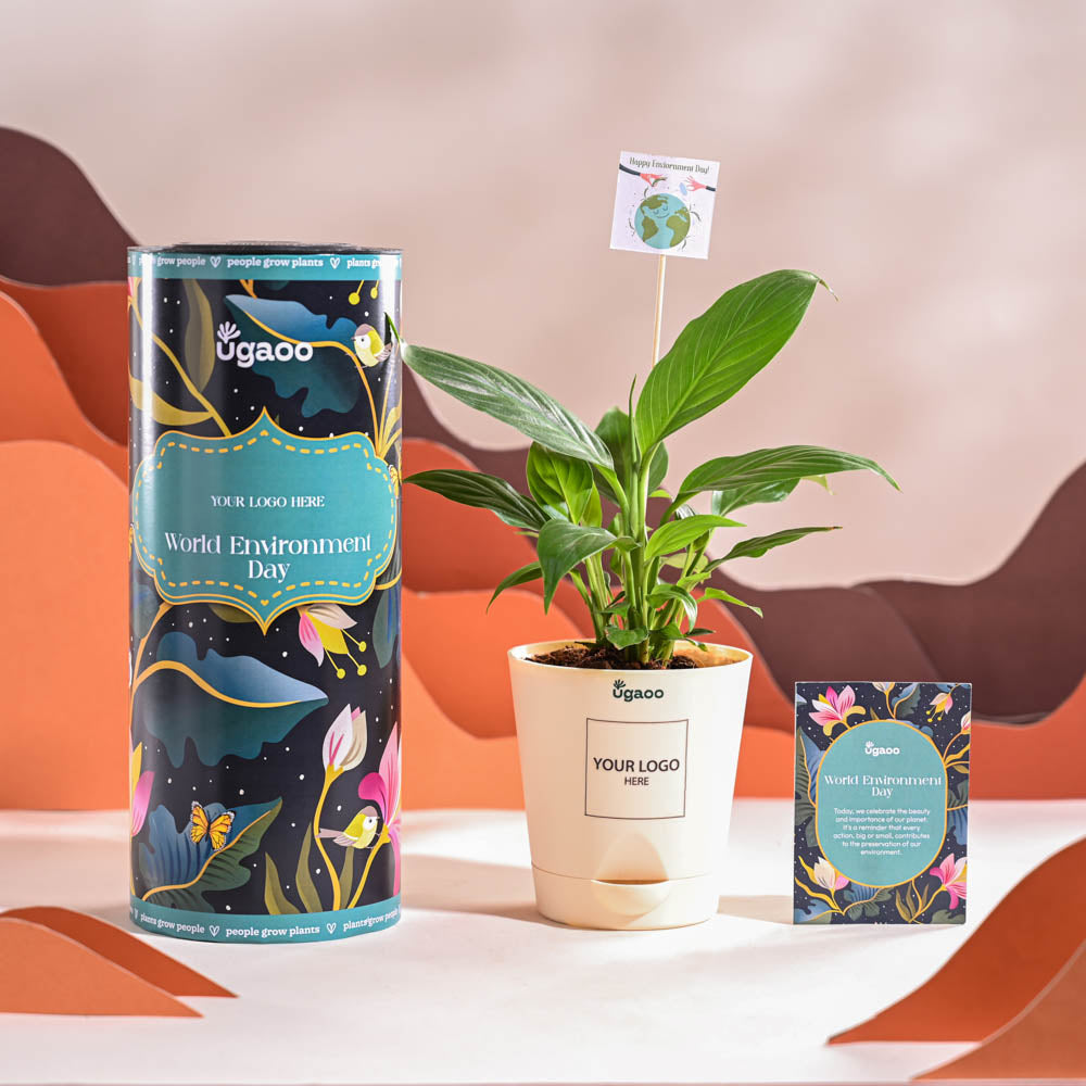 Ugaoo Peace Lily For Environment Day Gifting - view 2