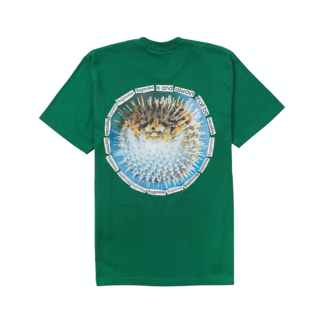 My Store Supreme Blowfish Tee Green