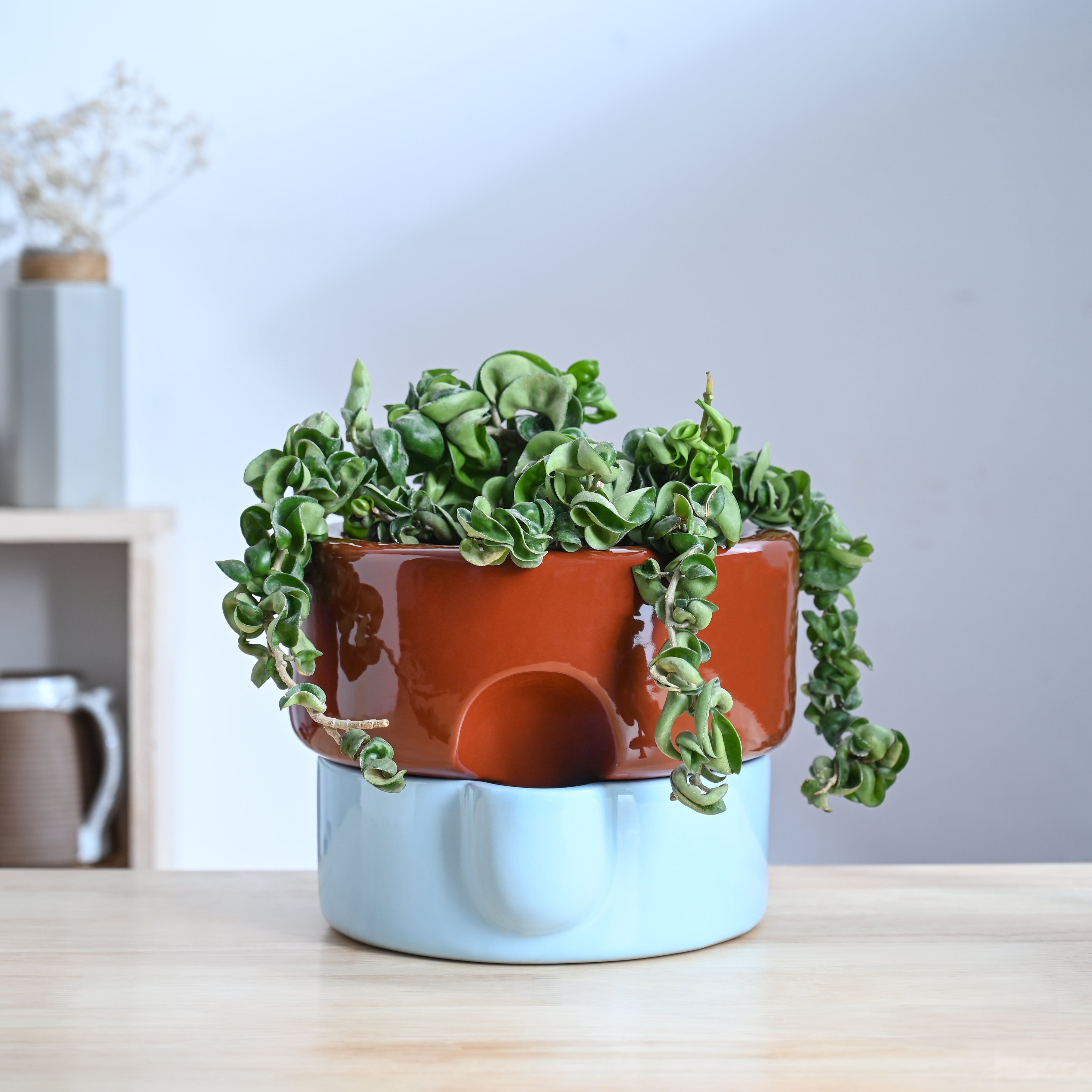 Ugaoo Flower Sunflower Ceramic Planter - view 9