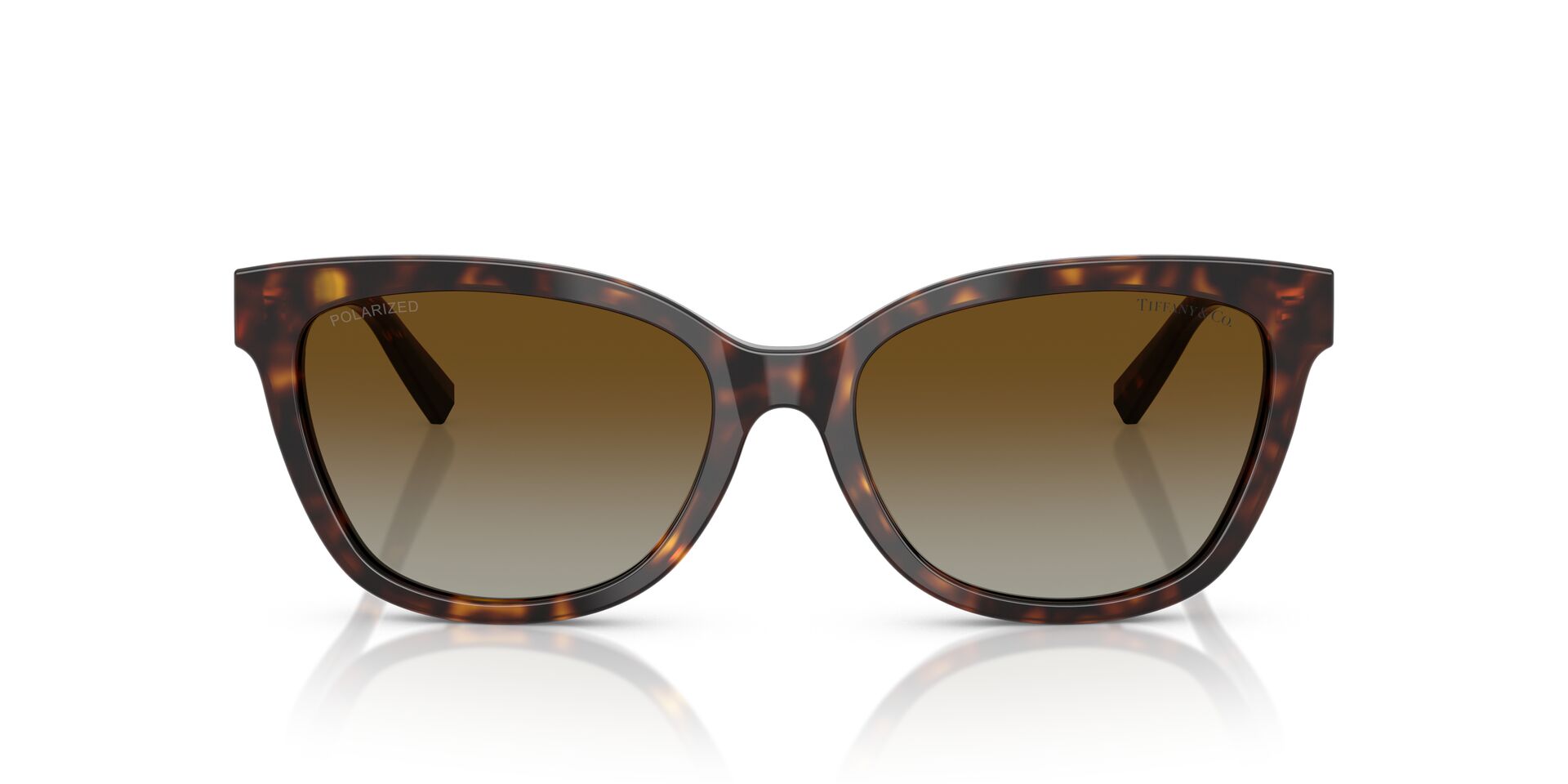 Tiffany & Co Tf4237b 8015t5 55 Sunglasses - view 2