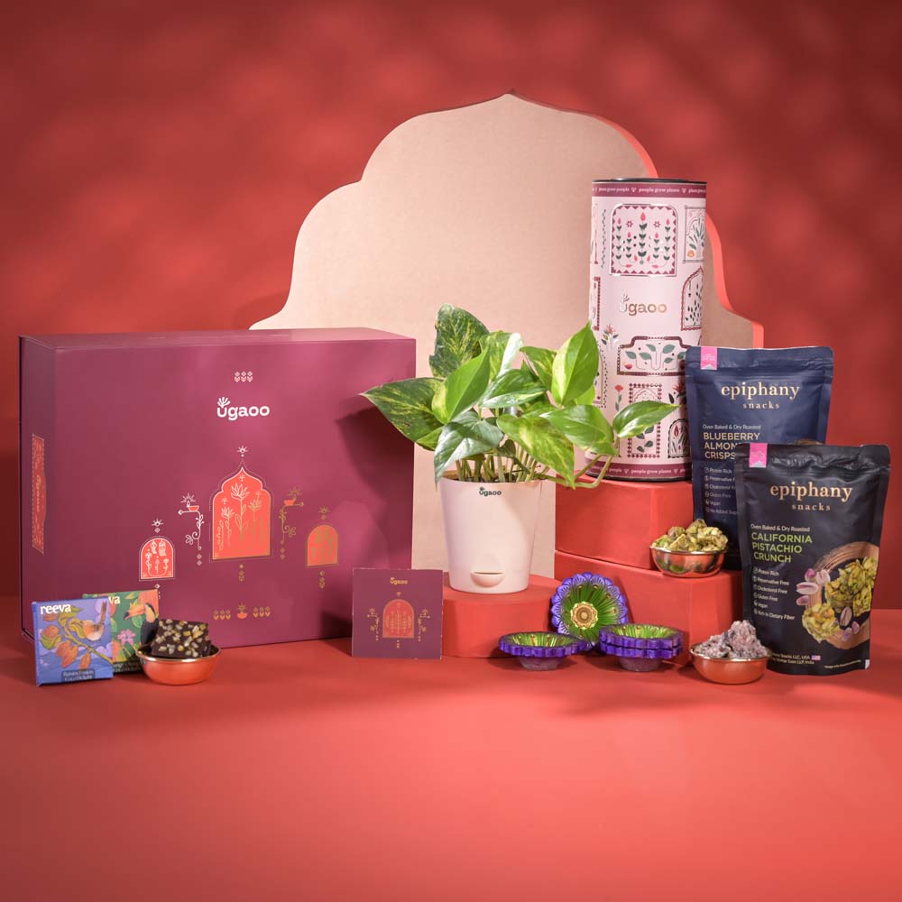 Ugaoo Eternal Blessings Diwali Gift Hamper