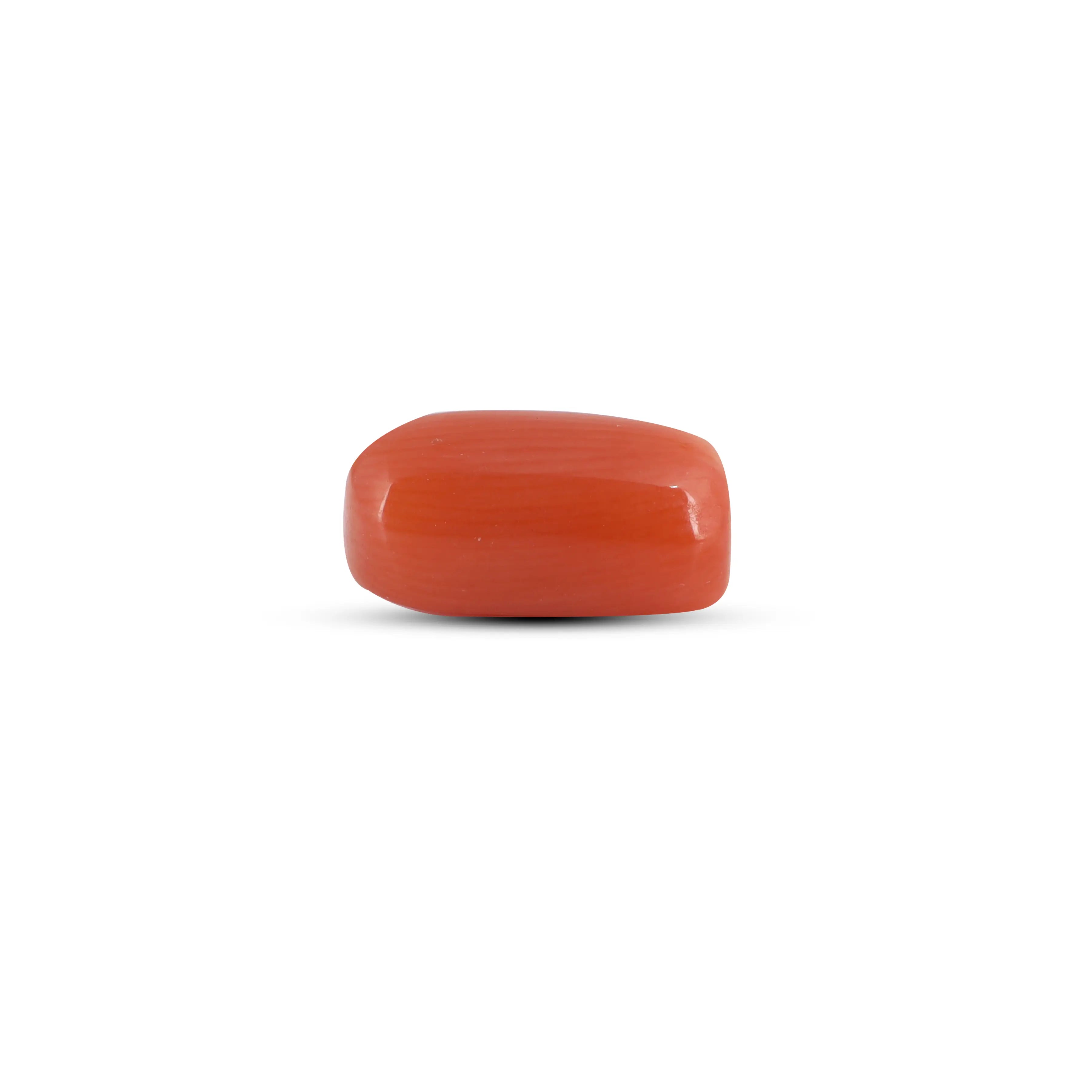 Pramogh Red Coral - 3.05 Carat - view 3