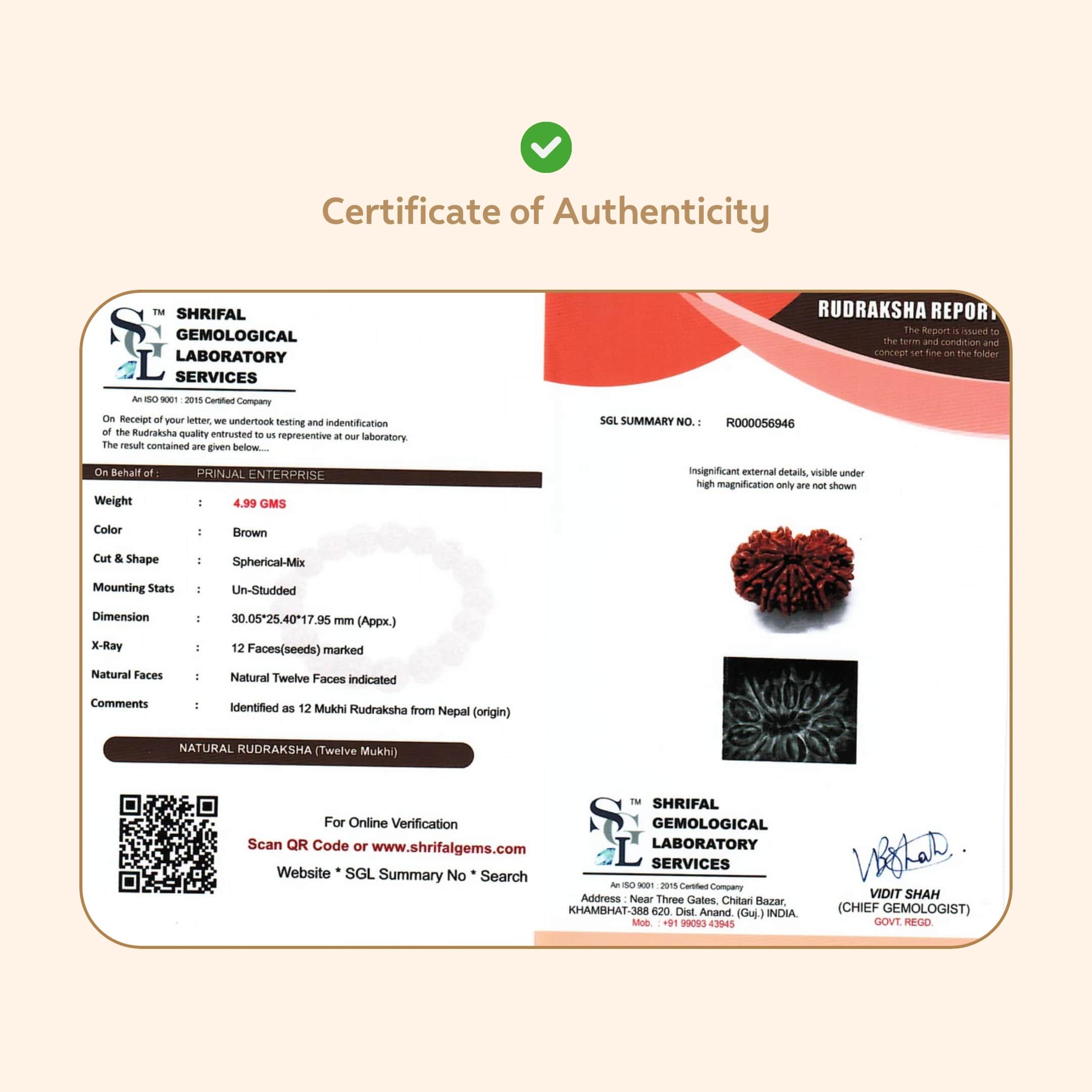 Prinjal Jewellers 12 Mukhi Rudraksha ( Nepali ) - view 5