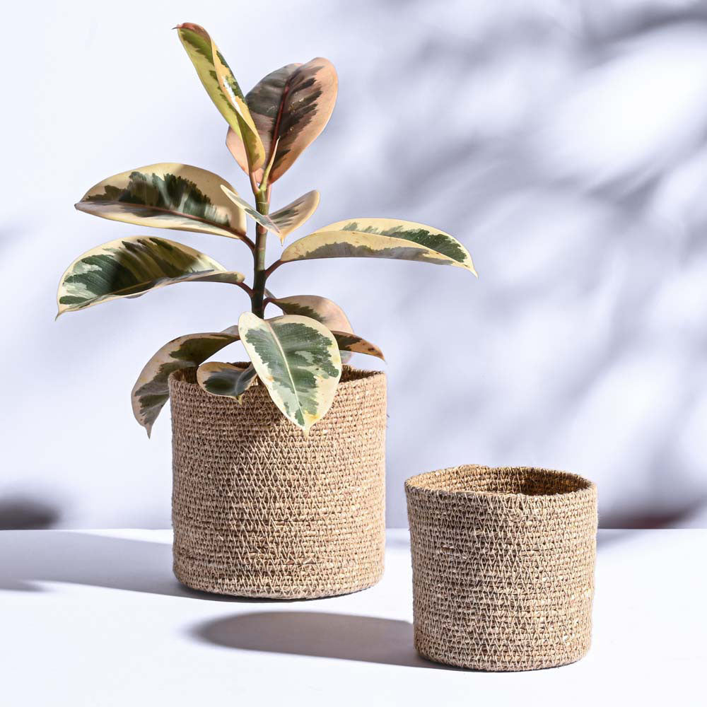 Ugaoo Meadow Planter - Set of 2
