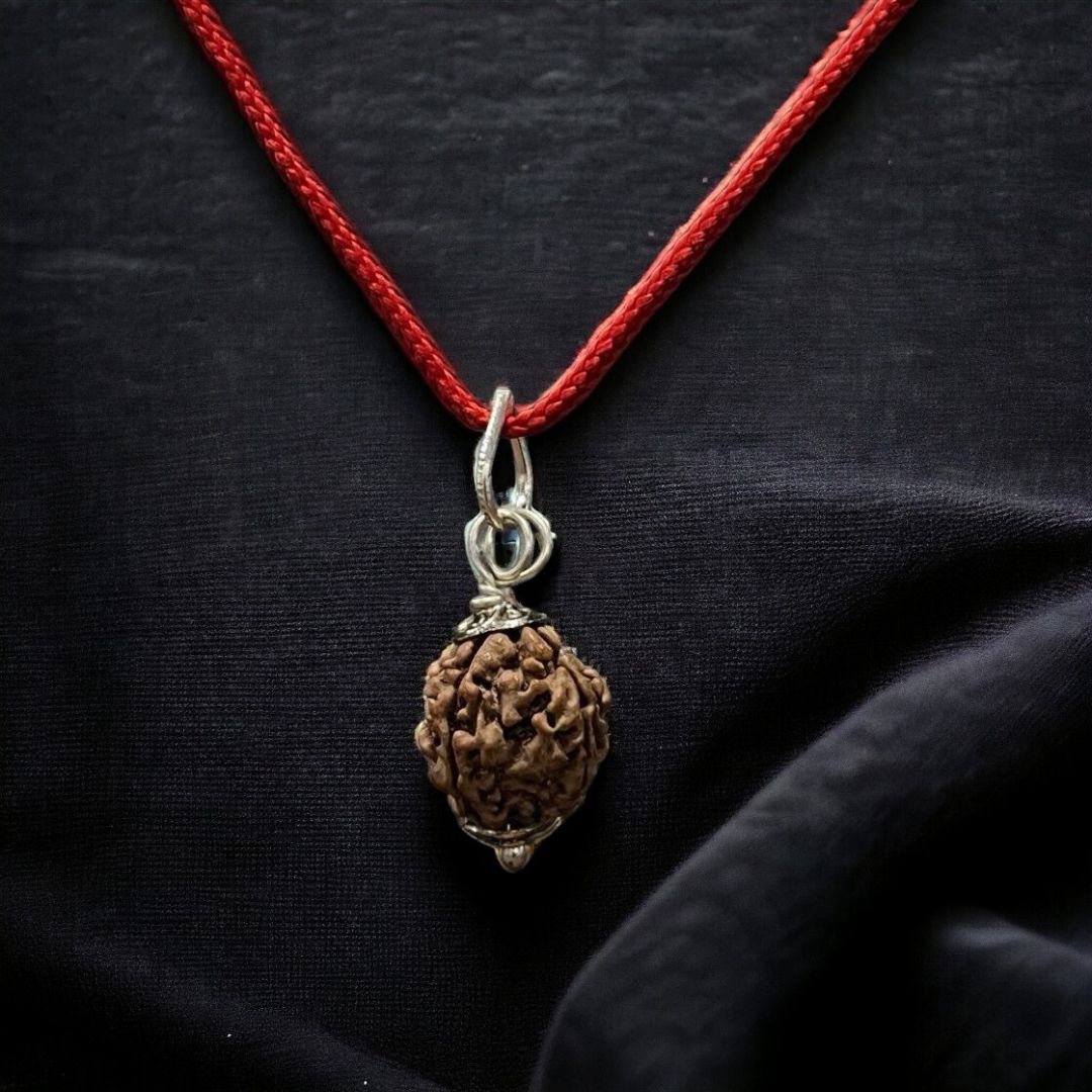 Soultheory Natural 4 Mukhi Nepali Rudraksha - Chaar Mukhi