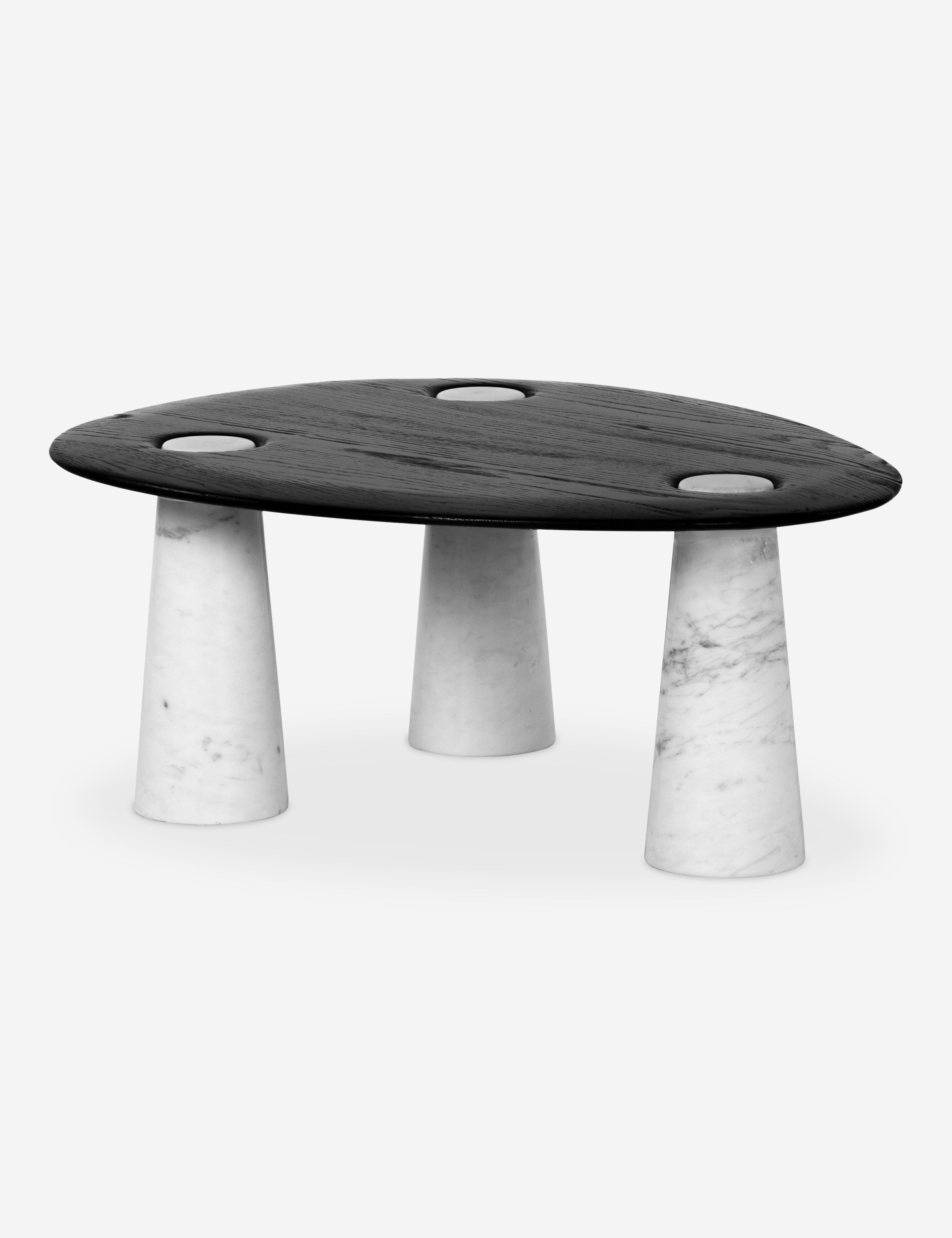 Lulu and Georgia Damona Coffee Table - view 2