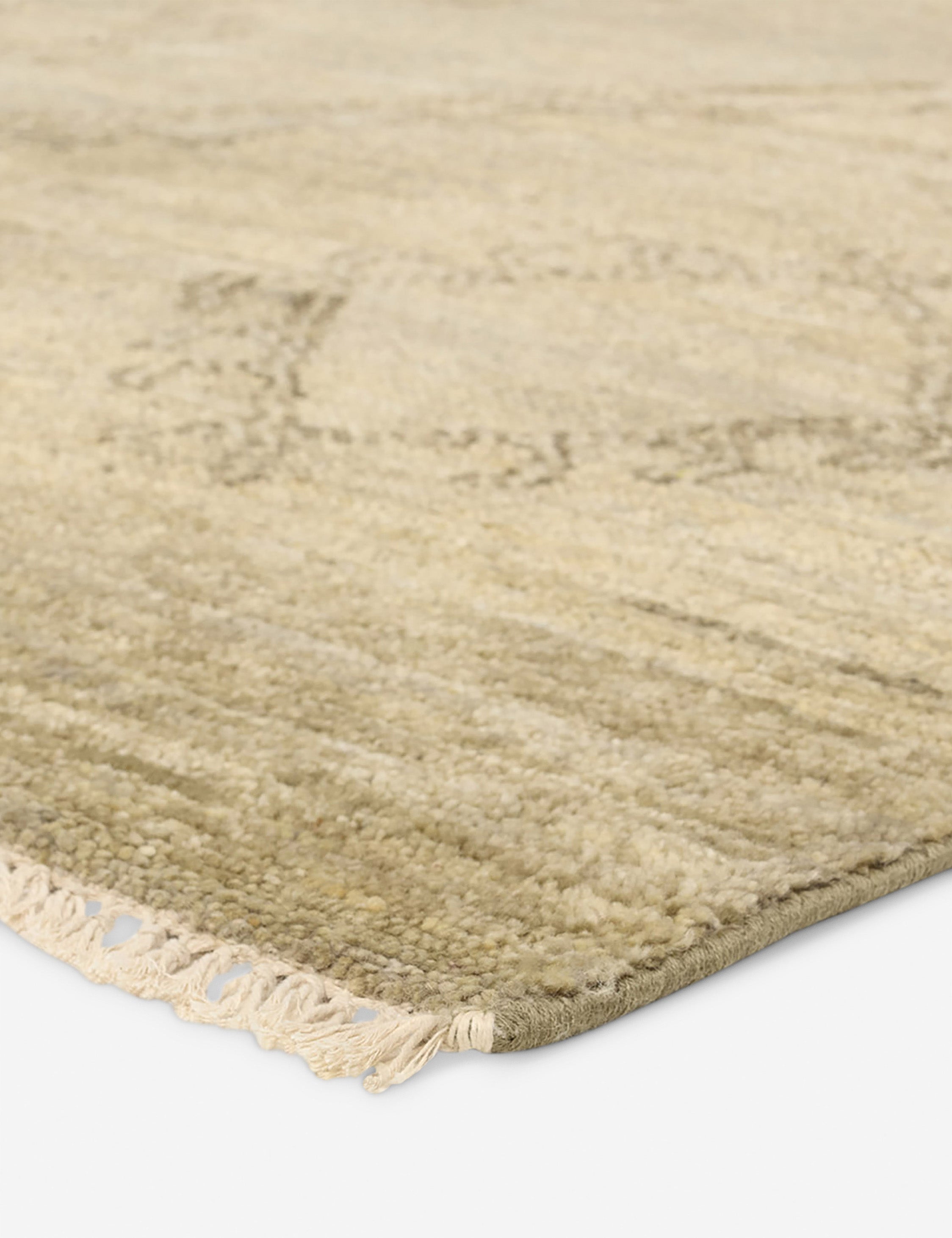 Lulu and Georgia Camiola Hand-Knotted Wool Rug - view 3