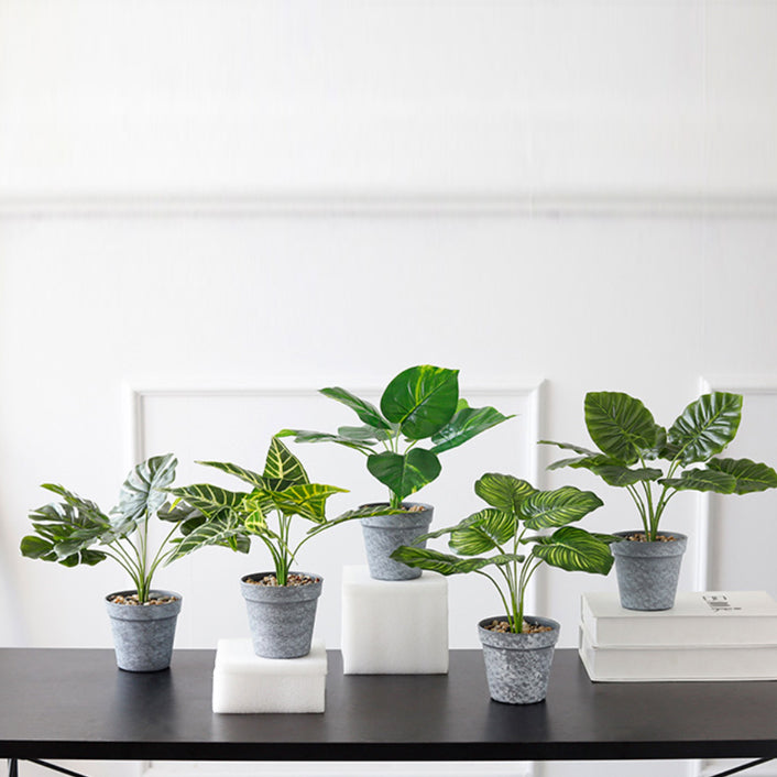 Nestasia Artificial Plant in Pot - view 9
