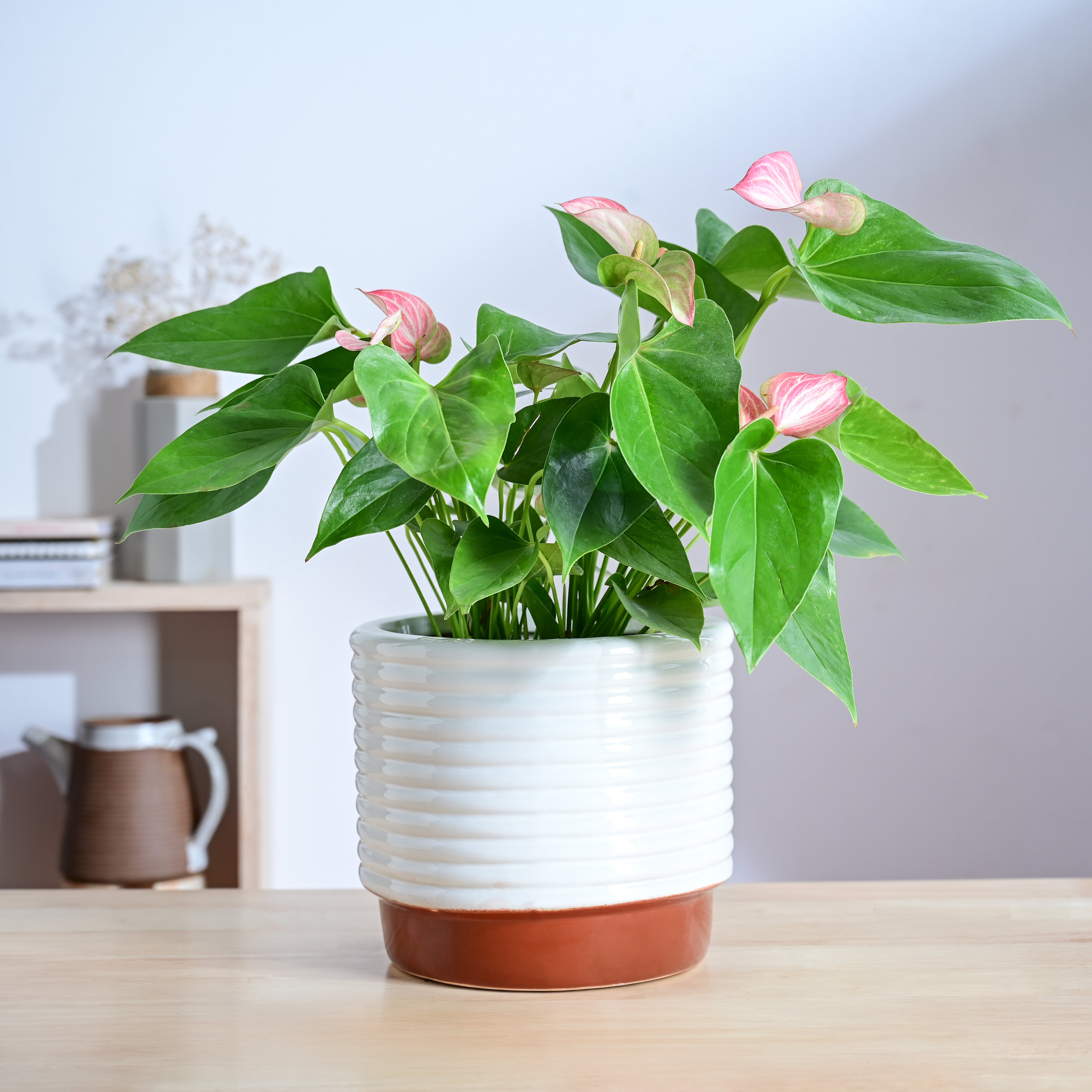 Ugaoo Untold stories Ceramic Planter - view 9