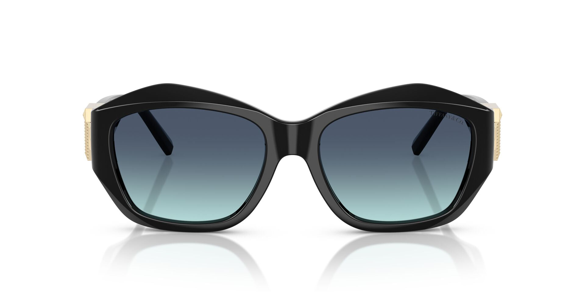 Tiffany & Co Tf4233u 8001 9s 54 Sunglasses - view 2