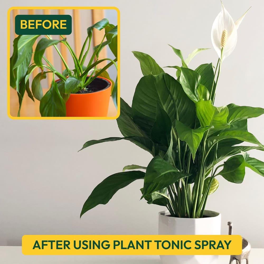 Ugaoo Plant Tonic Ready-To-Use Spray - 500 ml - view 6
