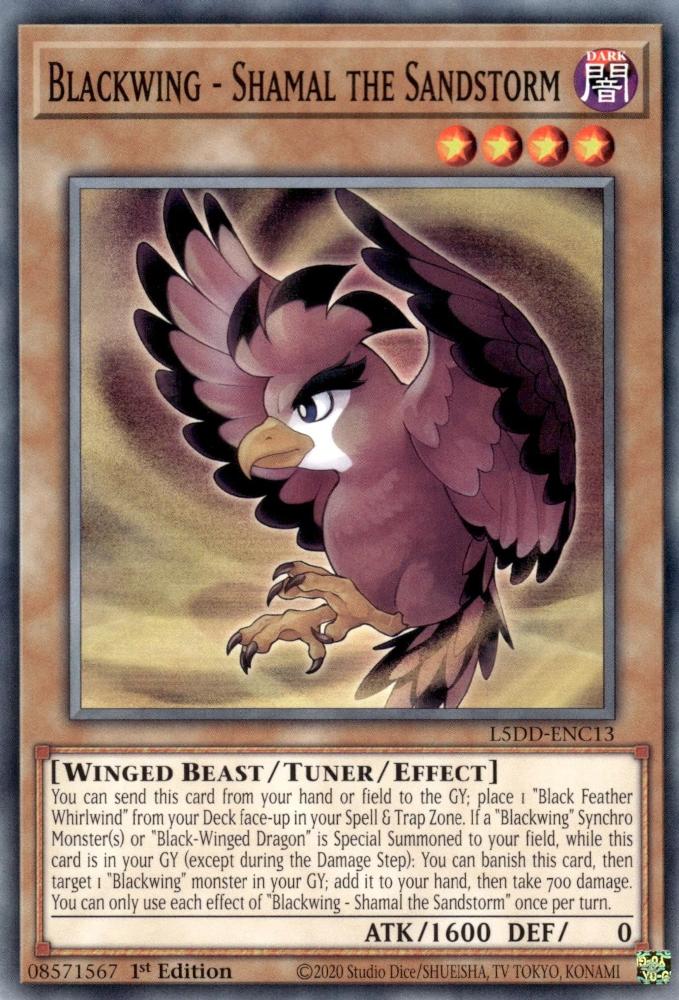 Yu-Gi-Oh! Blackwing - Shamal the Sandstorm - L5DD-ENC13 - Common - 1st Edition