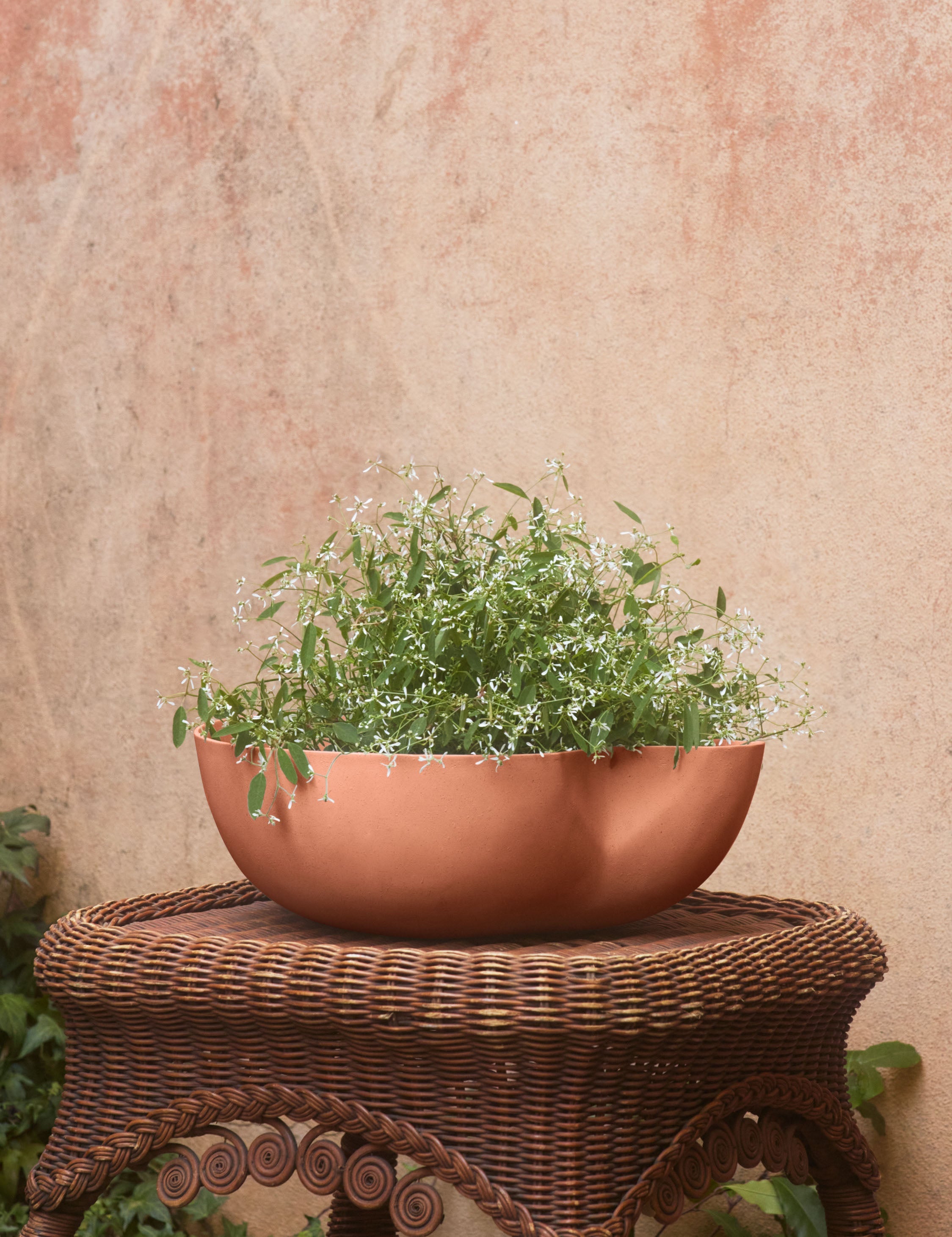 Lulu and Georgia Dempsy Low Planter by Sarah Sherman Samuel