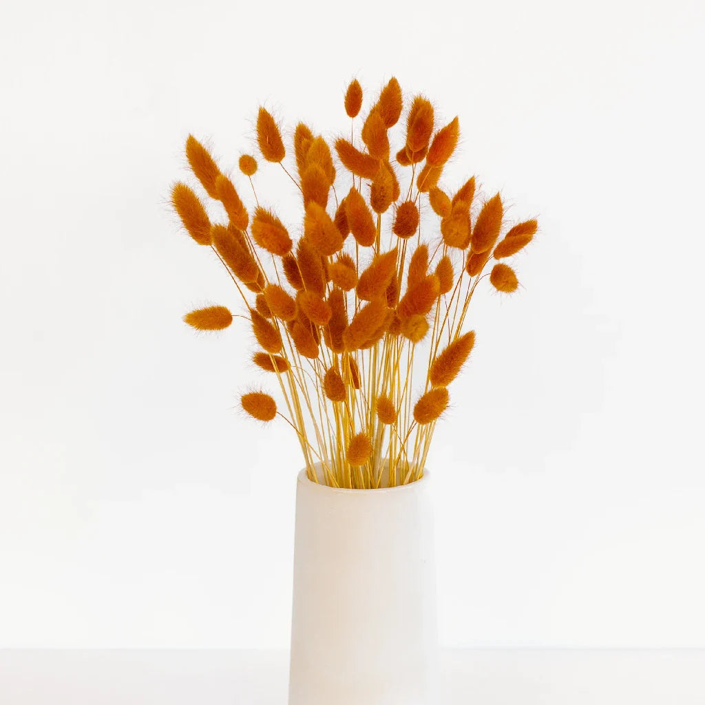 FiftyFlowers Rust Brown Dried Bunny Tail Grass
