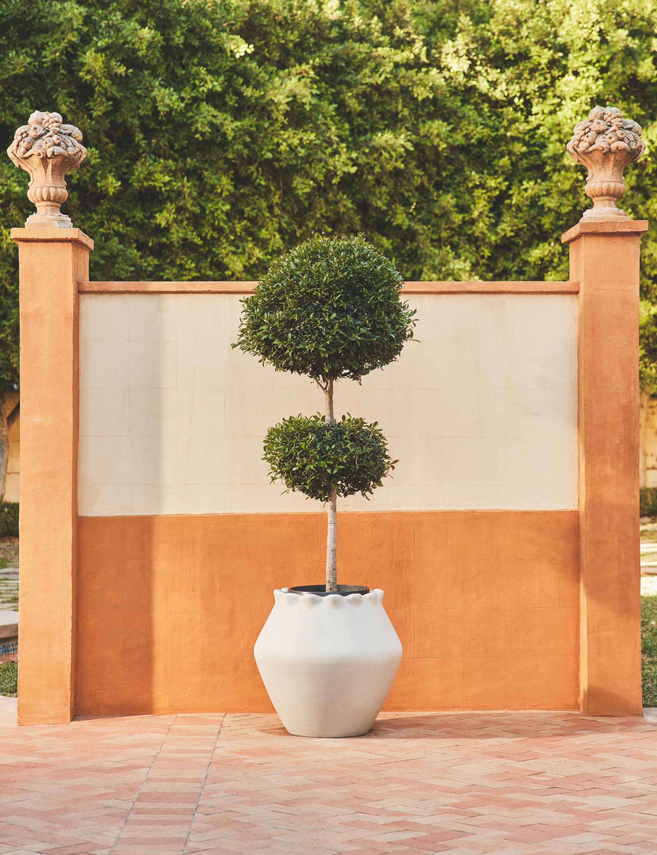 Jaziel indoor outdoor – Lulu and Georgia Jaziel Indoor/Outdoor Planter