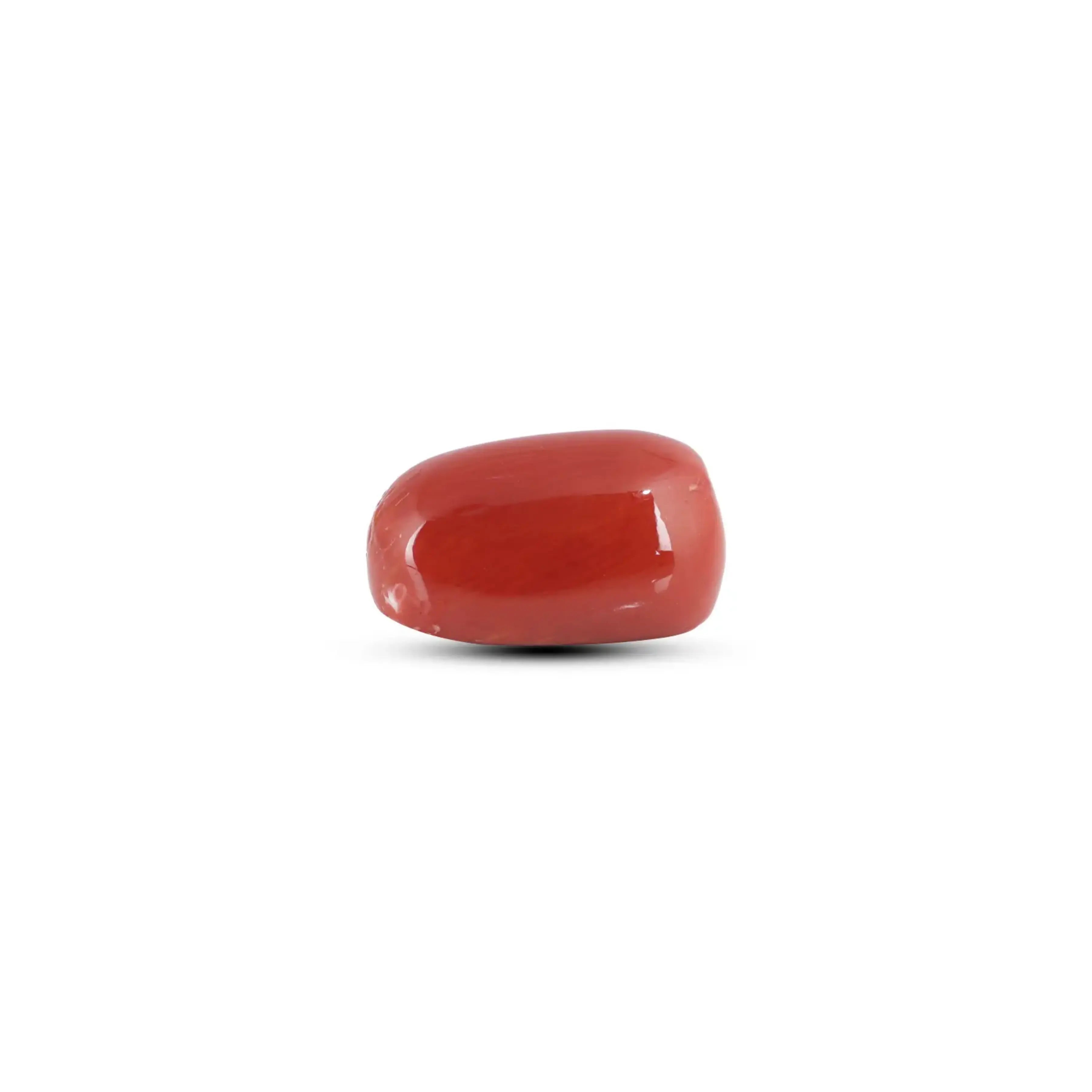 Pramogh Japanese Red Coral - 5.55 Carat - view 3