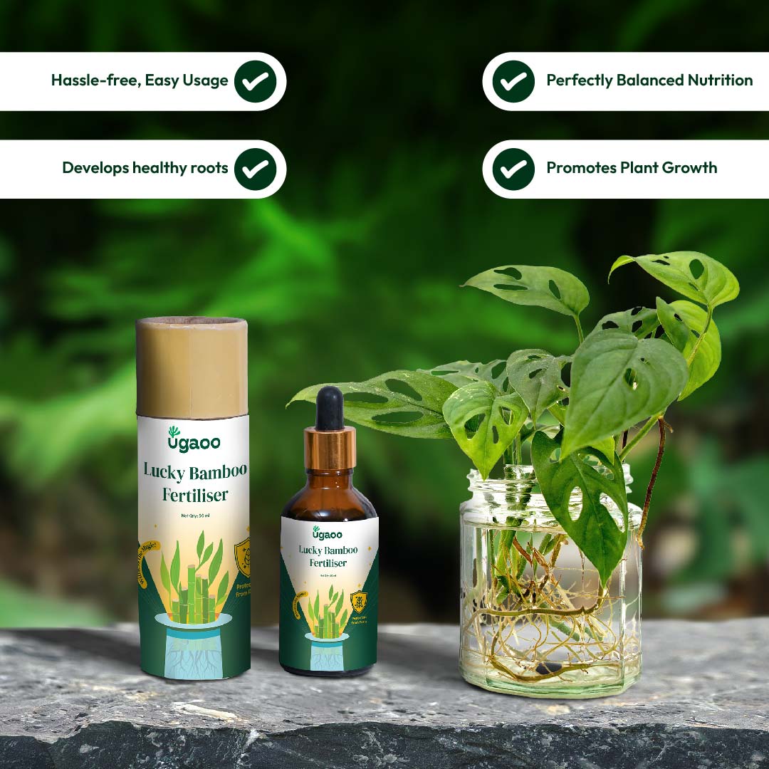 Ugaoo Lucky Bamboo Fertilizer - view 9