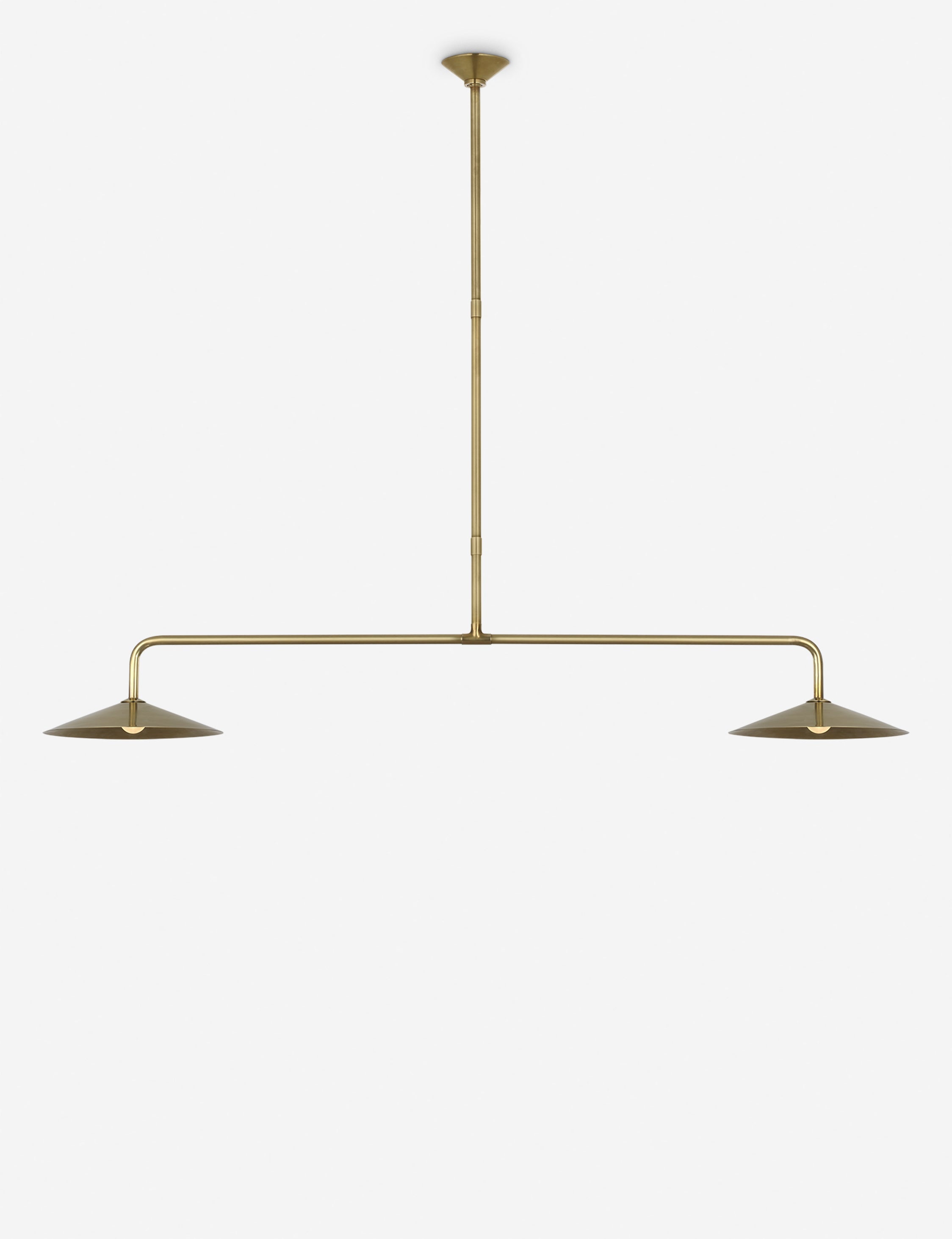 Lulu and Georgia Ponce Linear Pendant Light by Amber Lewis