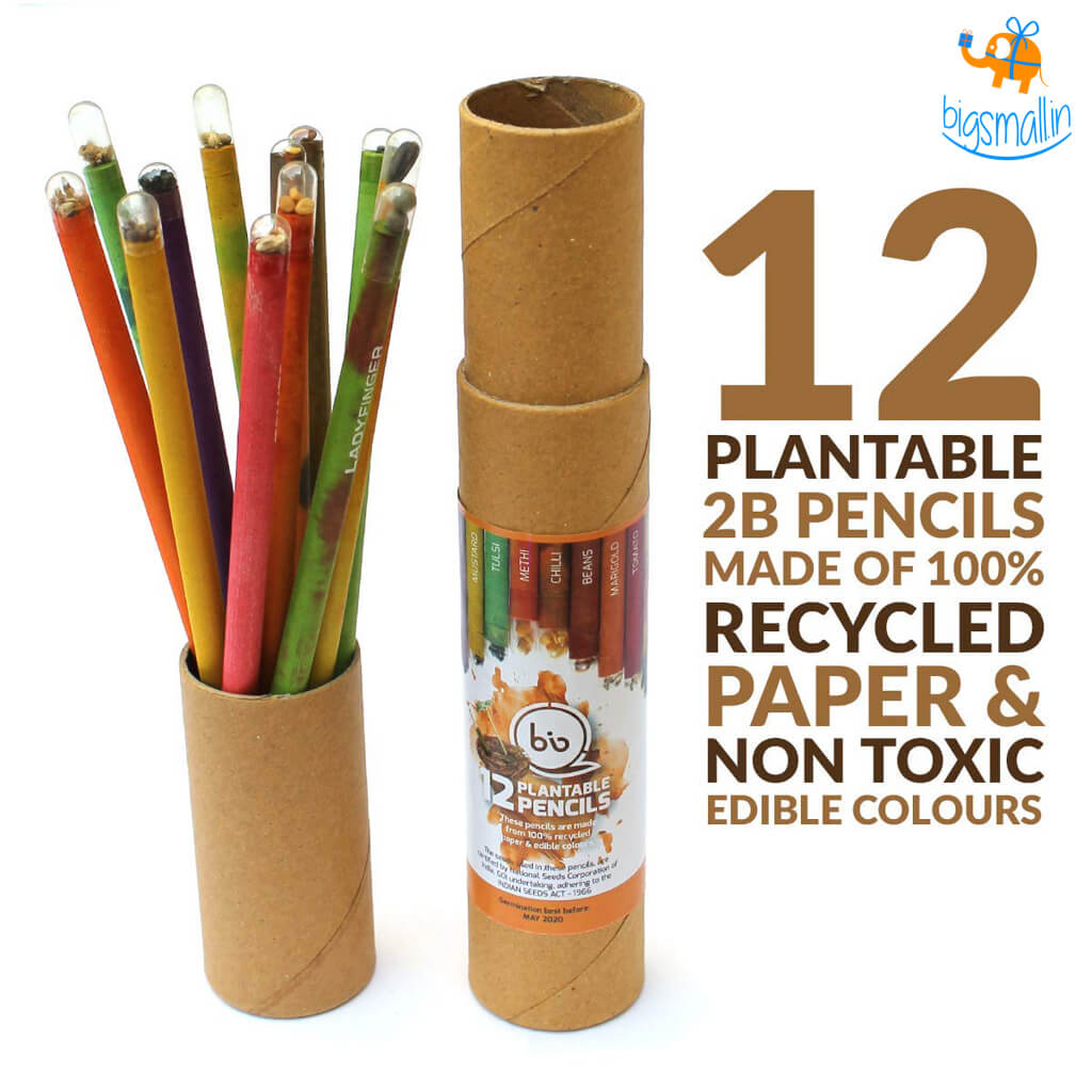 Asha Gifts Eco-Friendly Plantable Seed Pencils