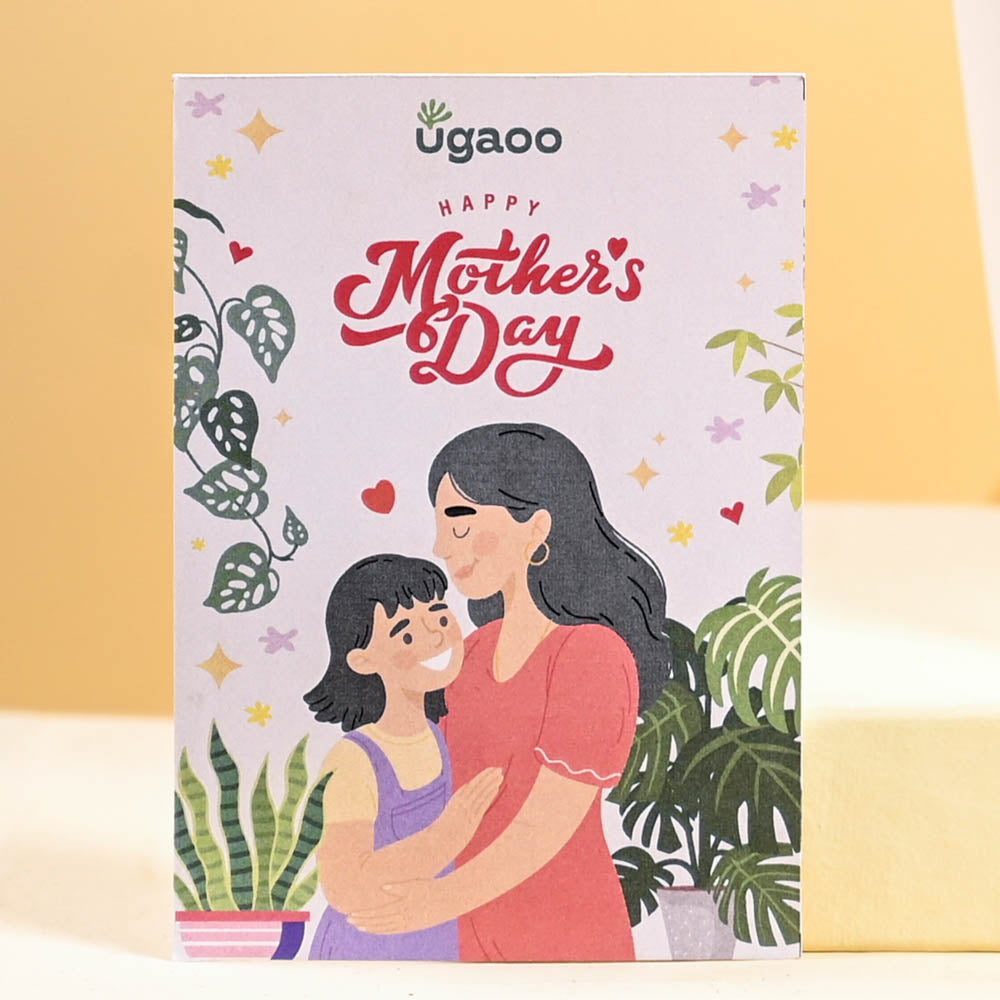 Ugaoo Money Plant Marble For Mother's Day Gifting - view 2