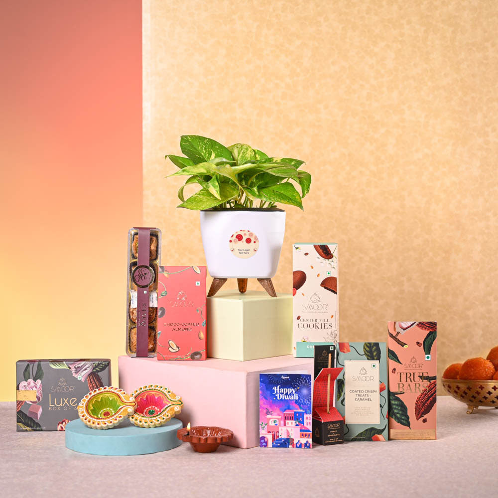 Ugaoo Money Plant Variegated & Smoor Diwali Gift Hamper