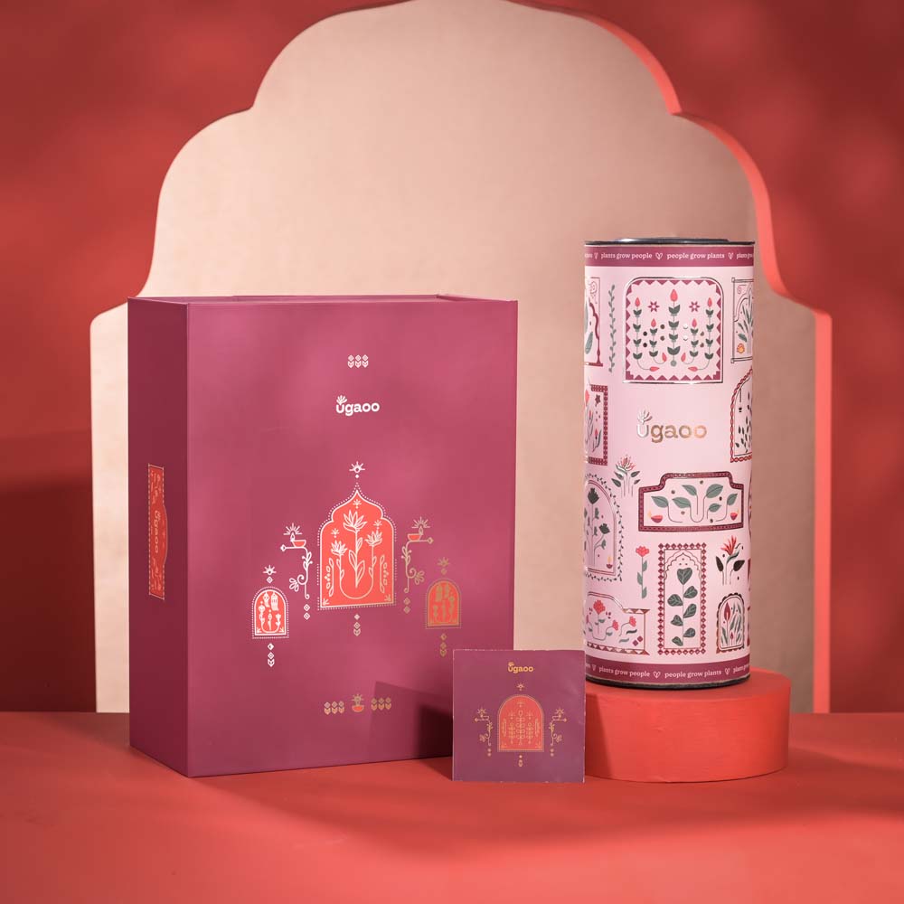 Ugaoo Light & Luck Diwali Gift Hamper - view 7