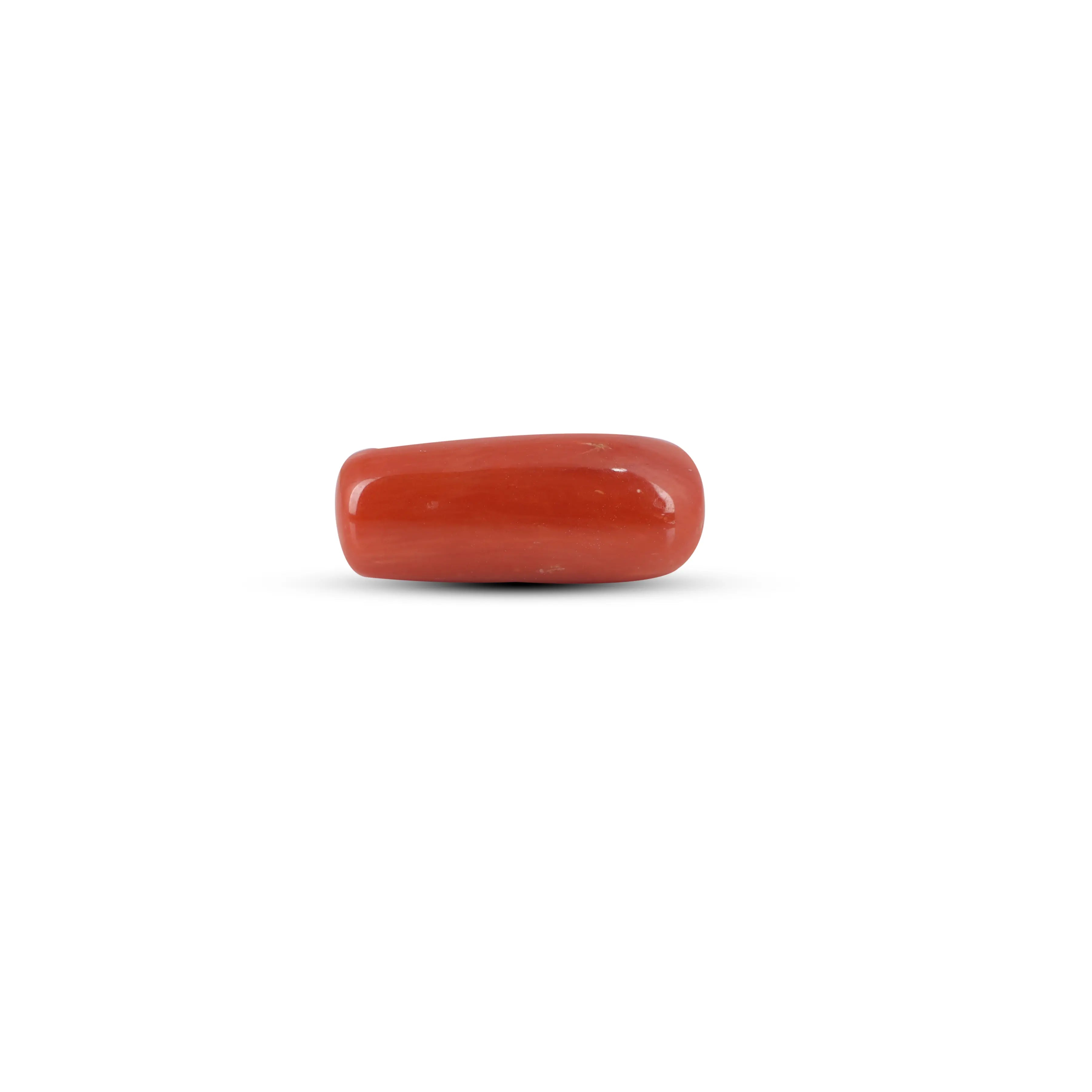 Pramogh Red Coral - 6.5 Carat