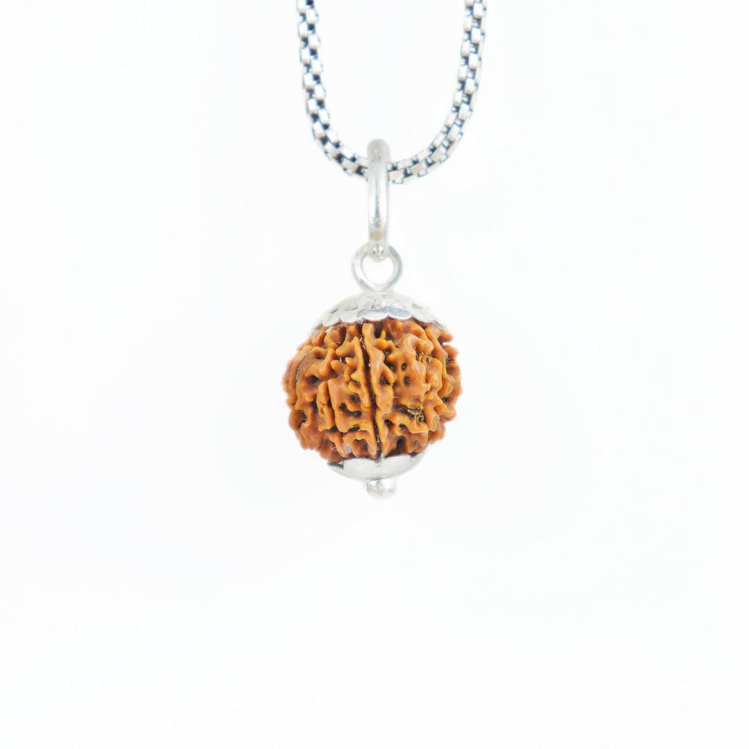 Prinjal Jewellers Silver Capping 9 Mukhi Rudraksha Pendant With Chain ( Nepali )