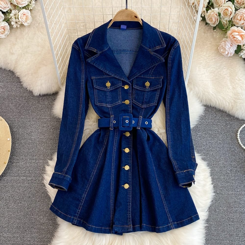 Alamode By Akanksha Sylvie Denim Dress