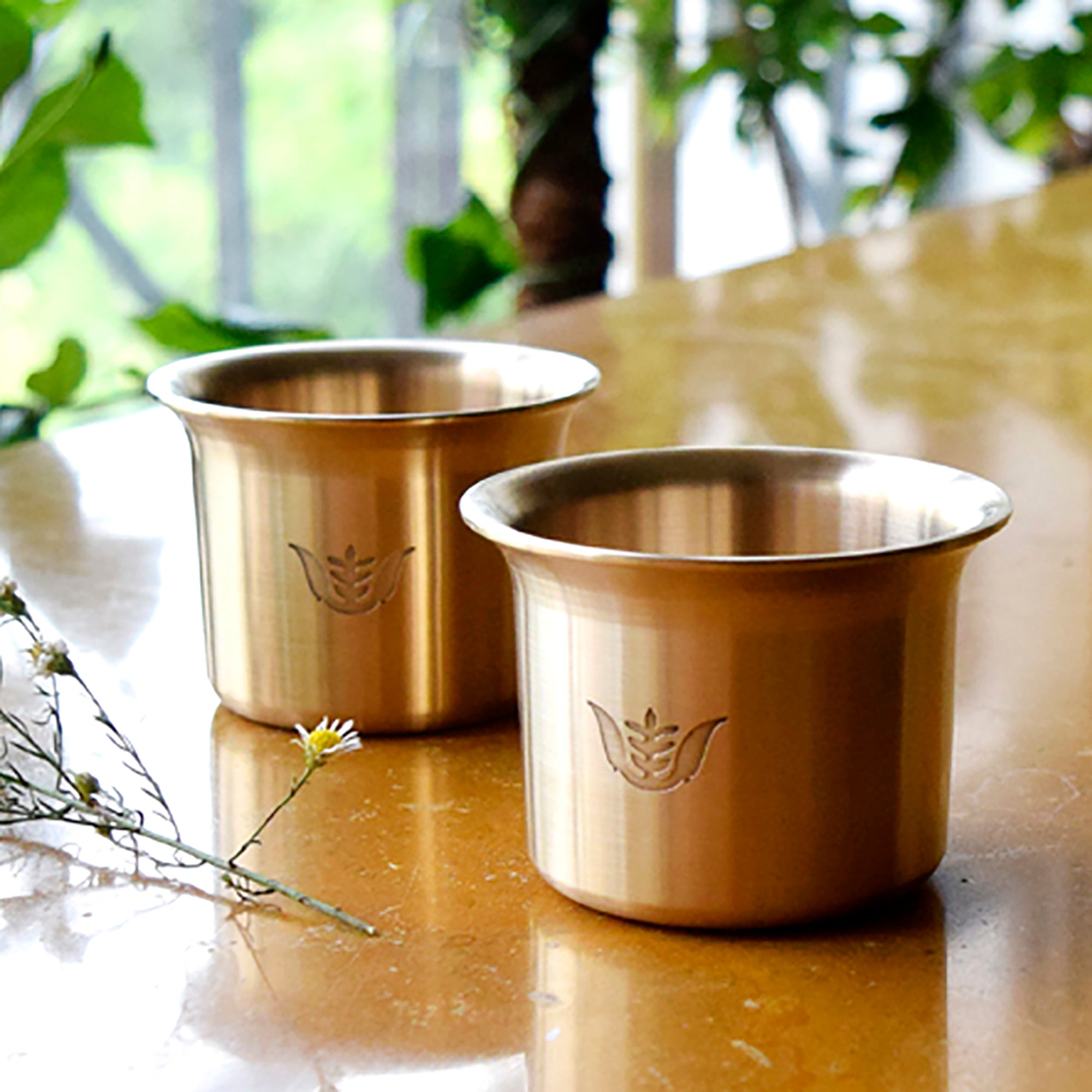 STUDIO COPPRE Brown - Beverage Kansa Mugs (Set of 2)