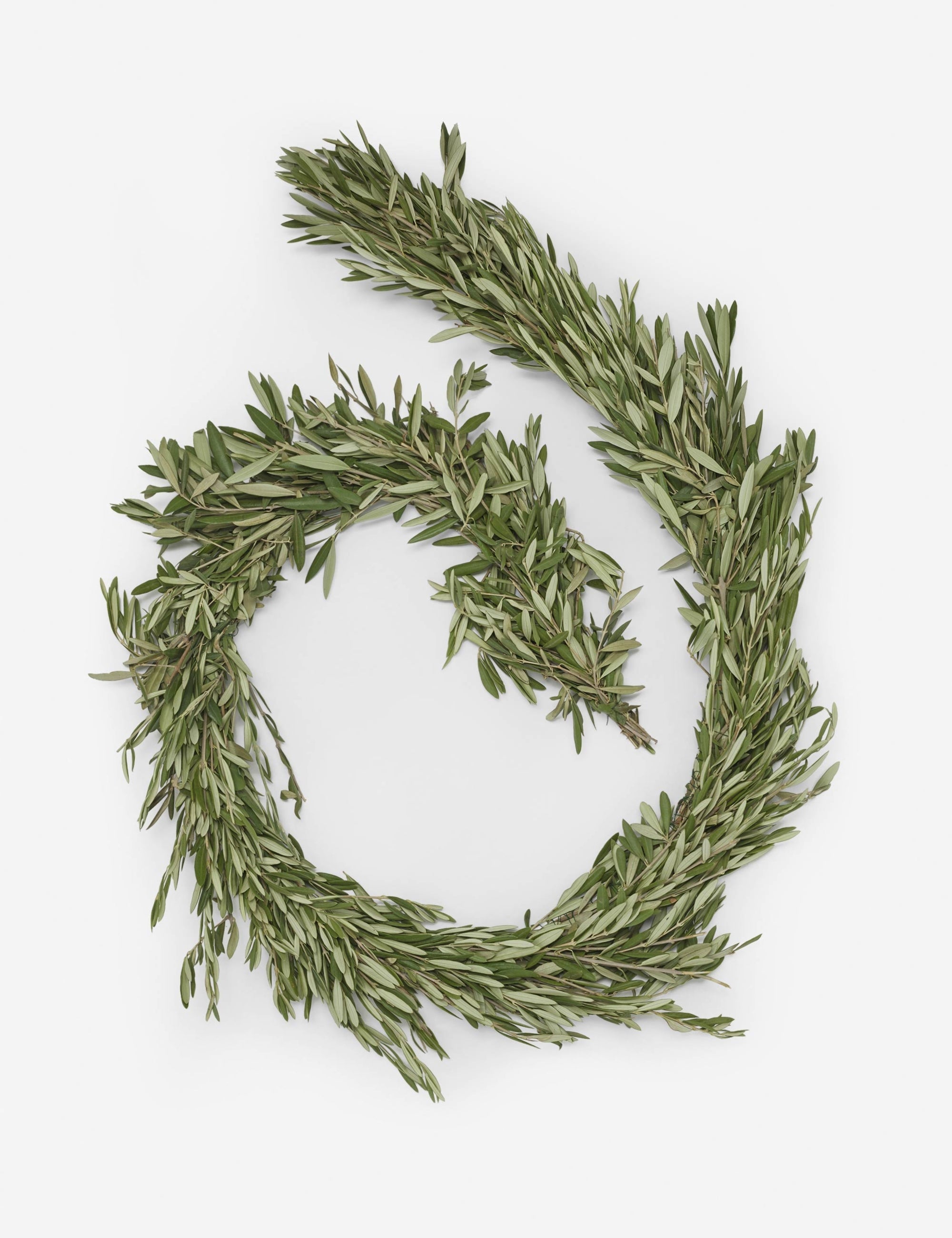 Lulu and Georgia Fresh Handmade Olive Branch Garland