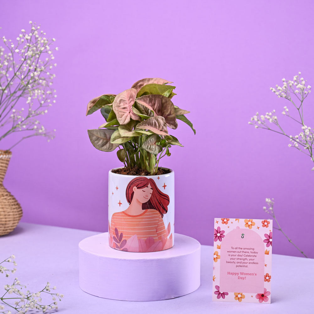 Ugaoo Syngonium Pink in Ceramic Pot Women's Day Gift - view 2
