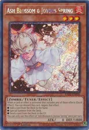 Ash blossom joyous – Yu-Gi-Oh! Ash Blossom & Joyous Spring - RA01-EN008 - Platinum Secret Rare - 1st Edition