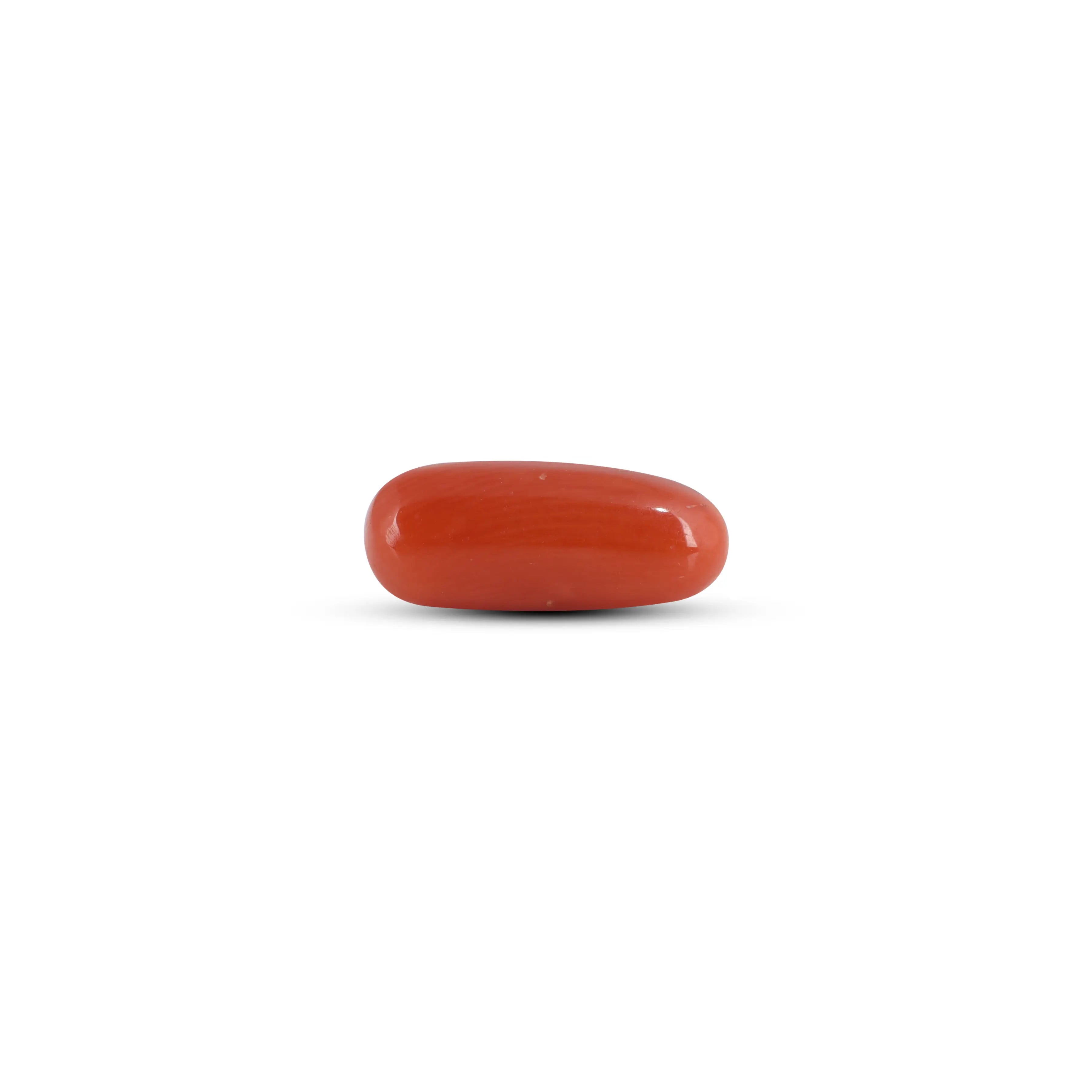 Pramogh Red Coral - 3 Carat