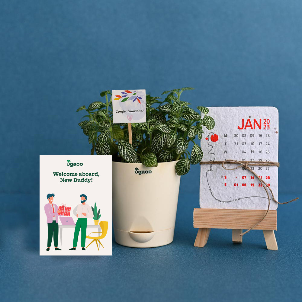 Ugaoo Plant with Plantable Calendar For Employee