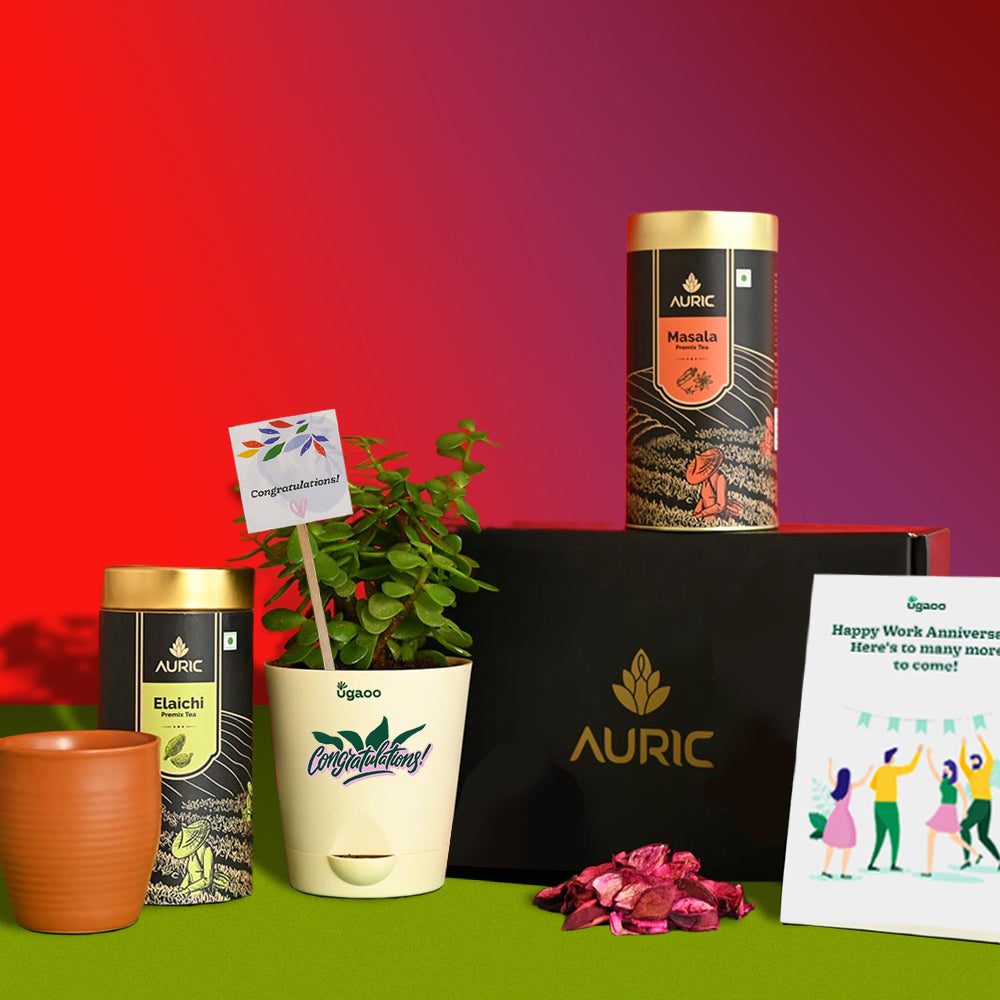 Ugaoo Jade Mini with Auric Premix Tea Gift Hamper