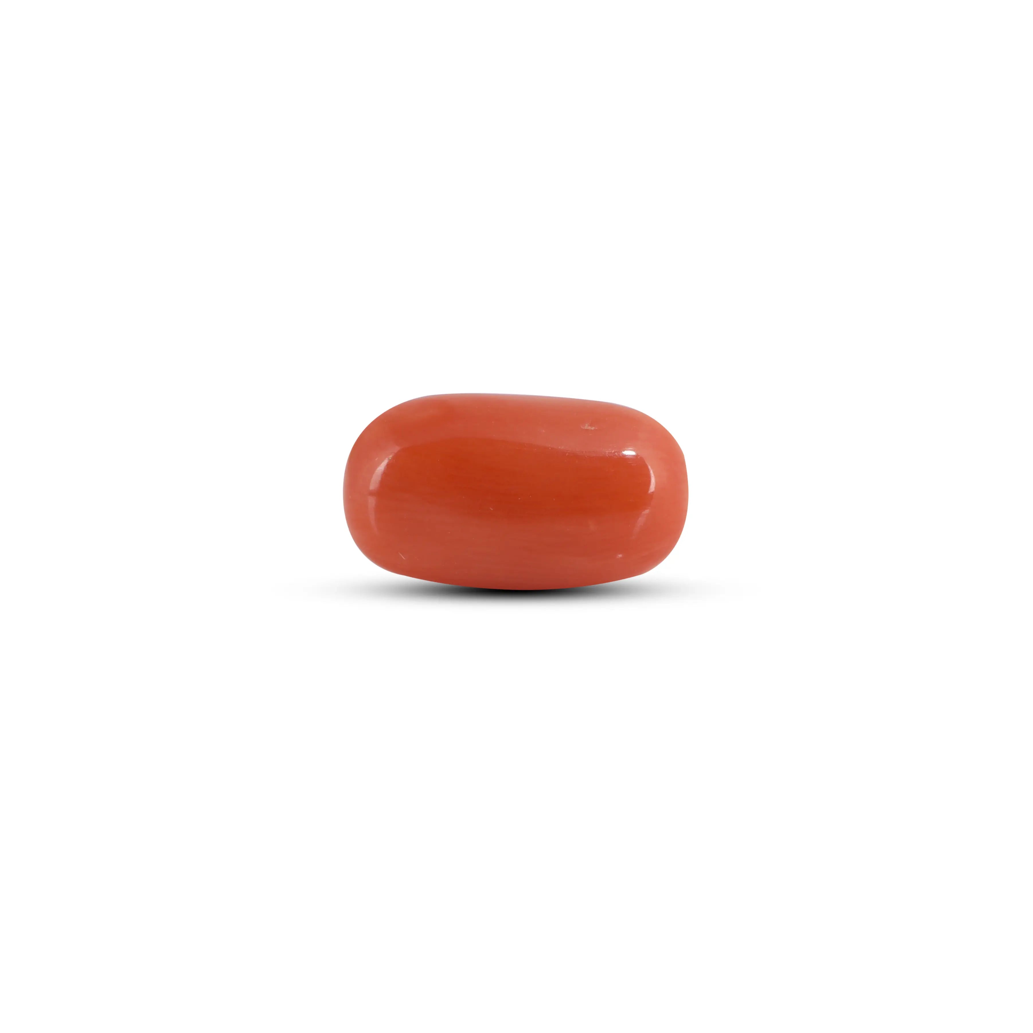 Pramogh Red Coral - 3.6 Carat