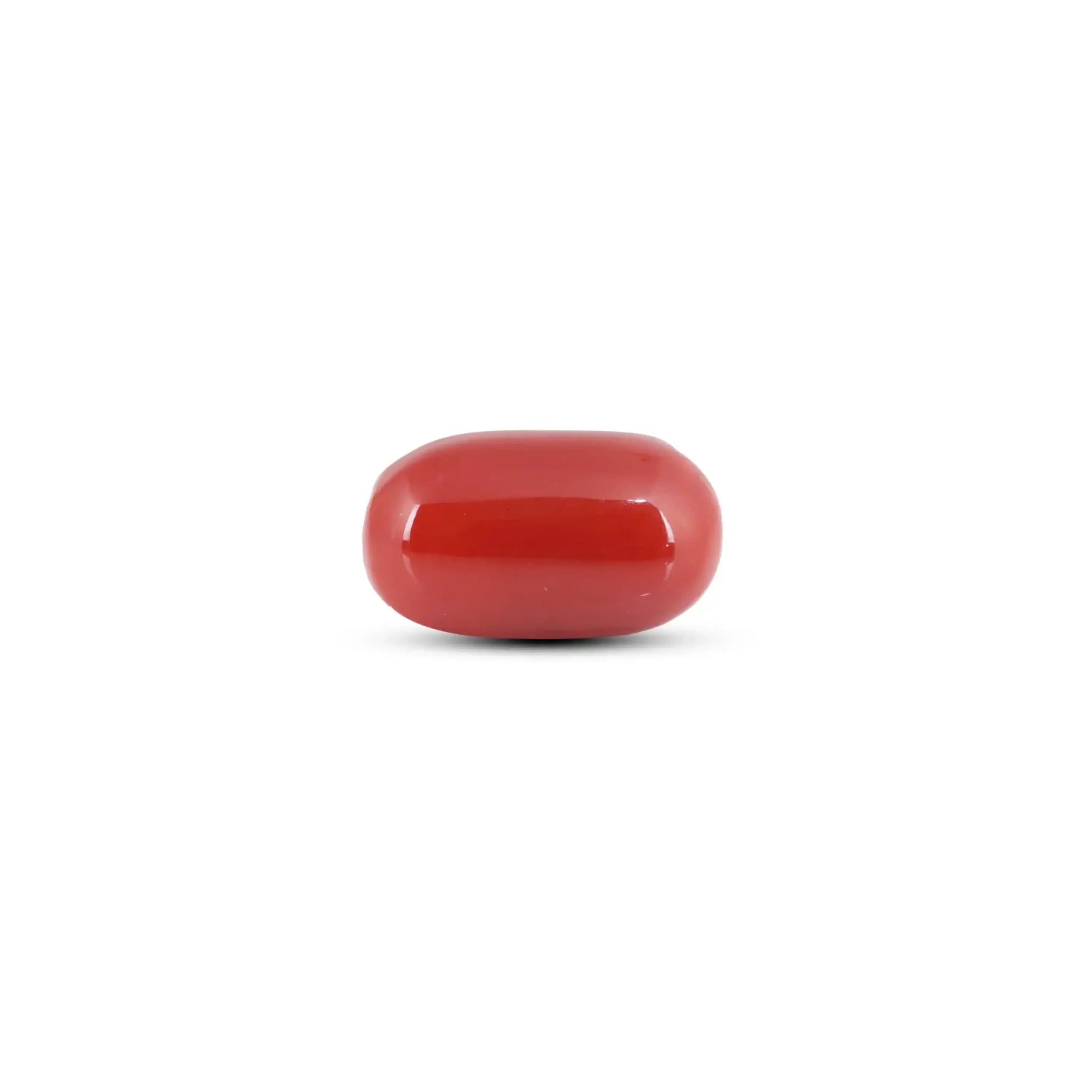 Pramogh Japanese Red Coral - 5.75 Carat