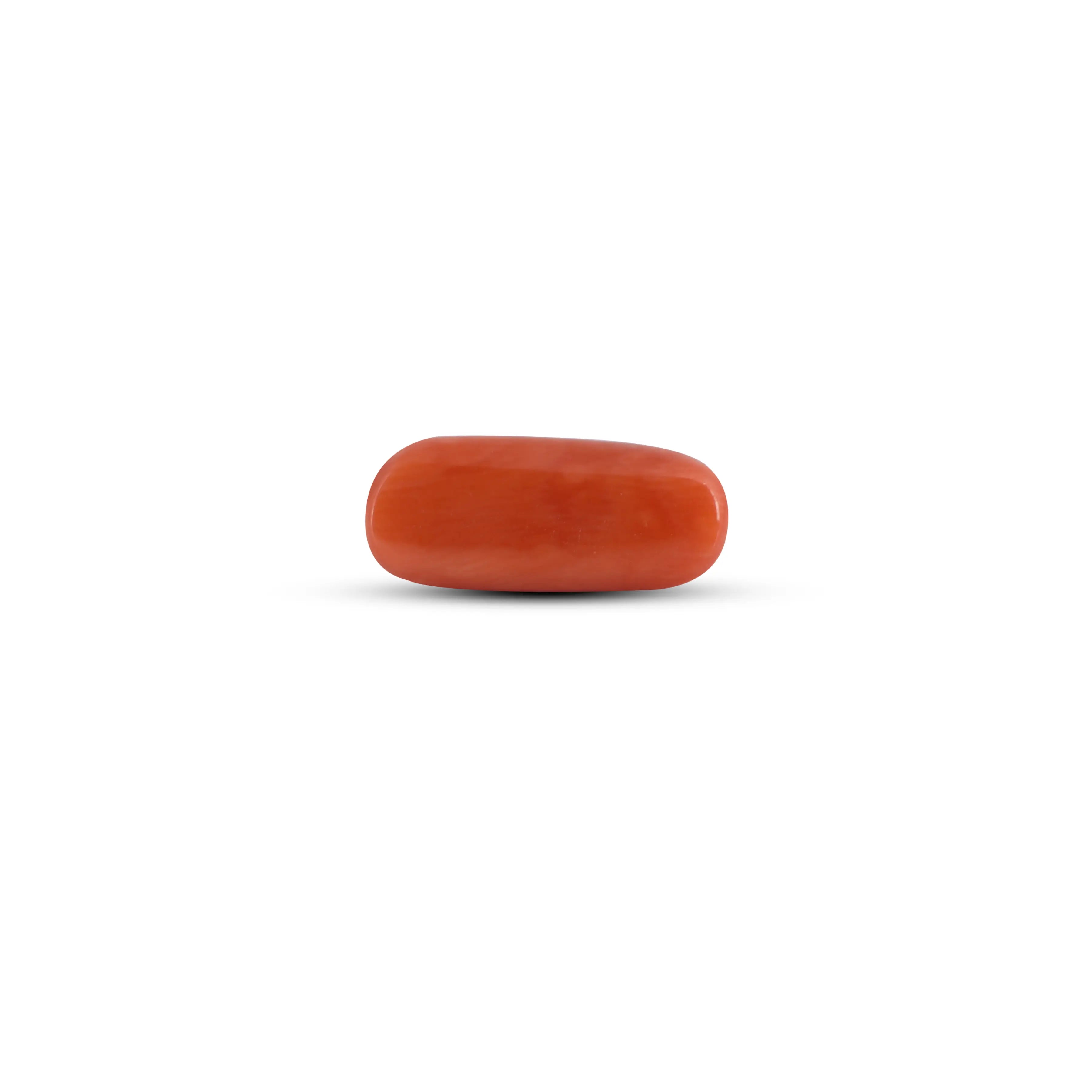 Pramogh Red Coral - 4.2 Carat - view 2