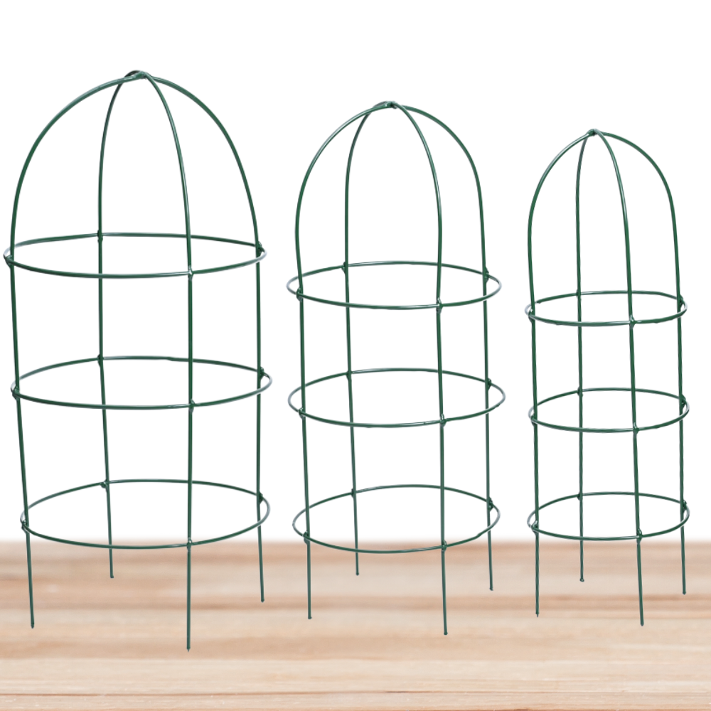 Ugaoo Trellis Plant Support Stands - Set of 3