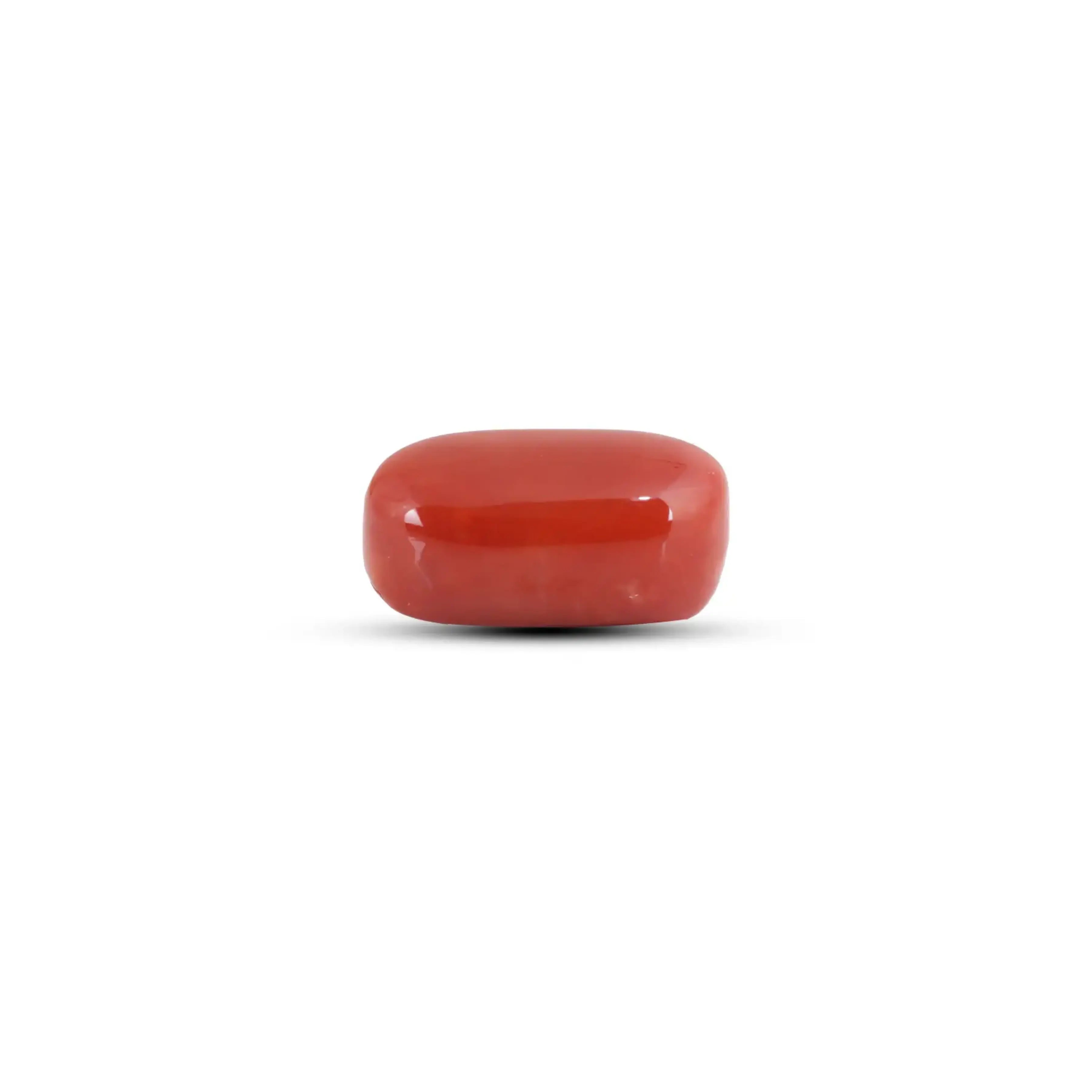 Pramogh Japanese Red Coral - 9.9 Carat - view 3