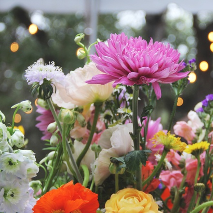 fiftyflowers.com Modern Garden Wedding - view 24