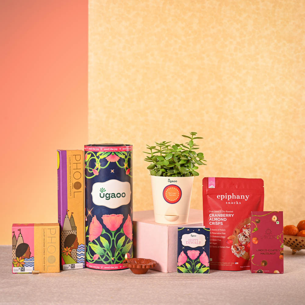 Ugaoo Jade Mini Plant & Phool Stick Box Diwali Gift Hamper