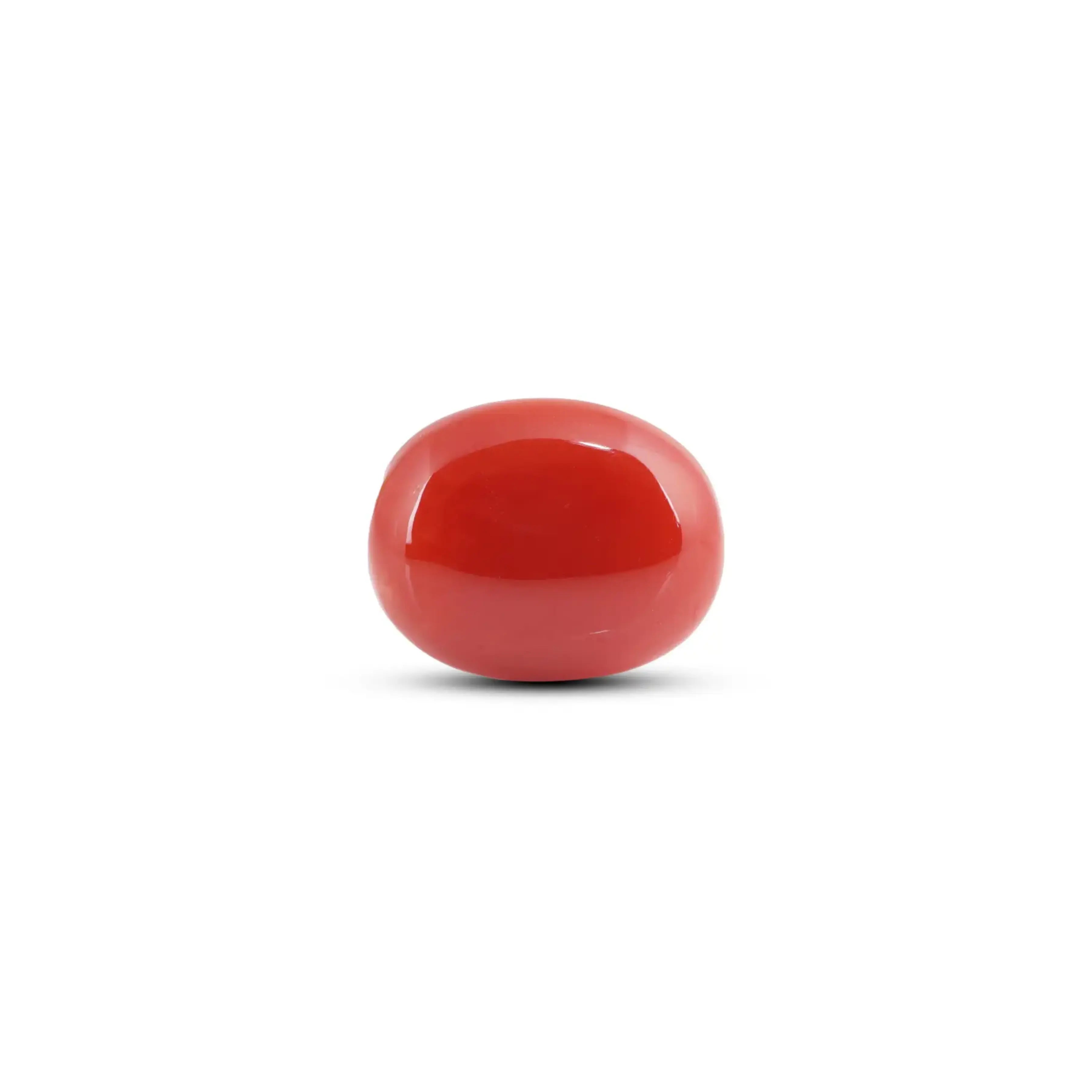 Pramogh Japanese Red Coral - 10.2 Carat