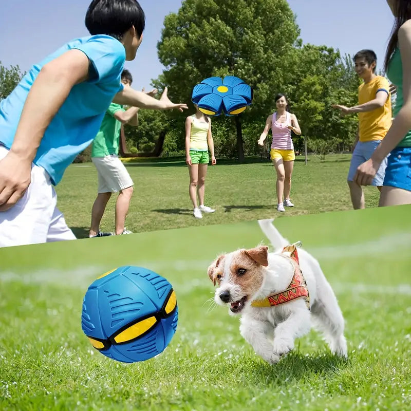 Catterton Bouncy Deformed Flying Saucer Ball - view 8