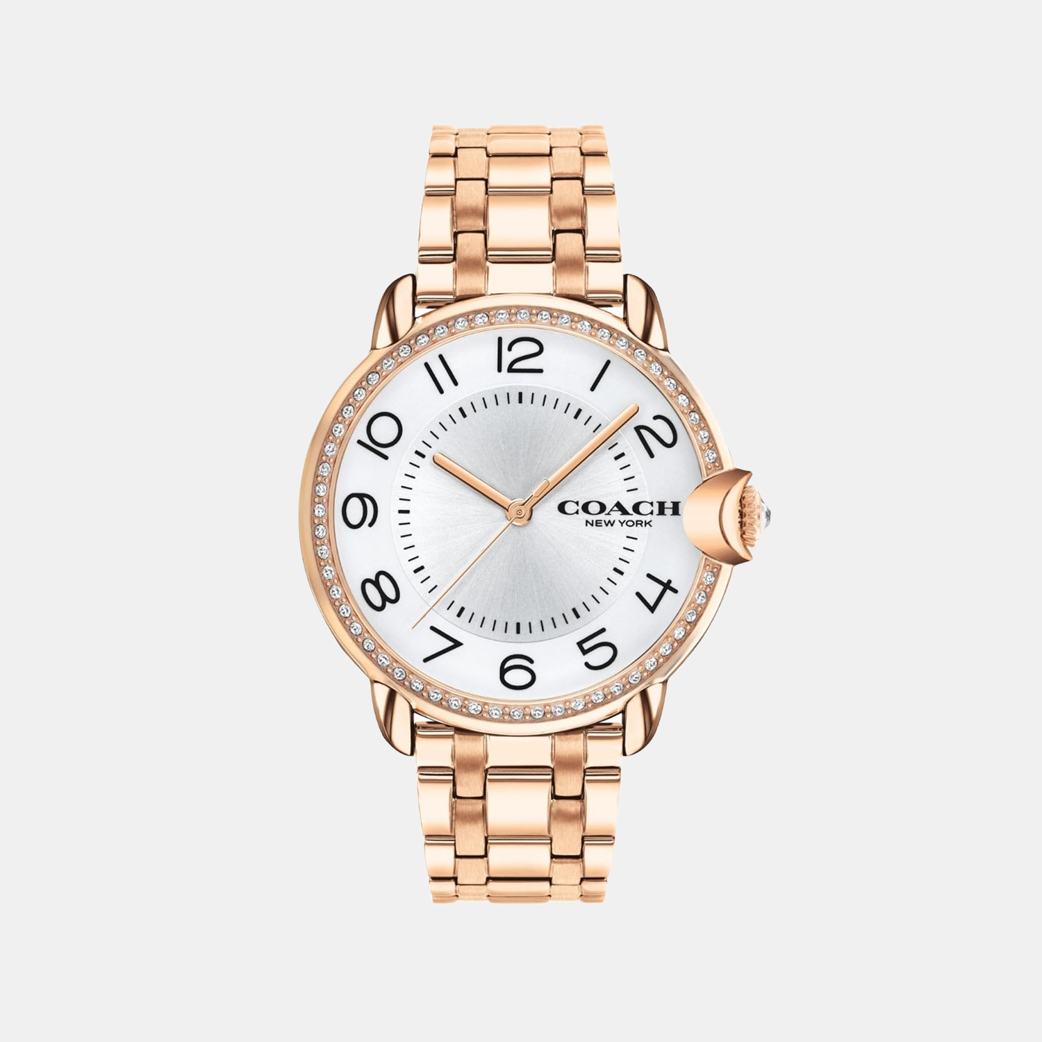 Coach Arden Women Quartz Silver Dial Analog Stainless Steel Watch 14503809