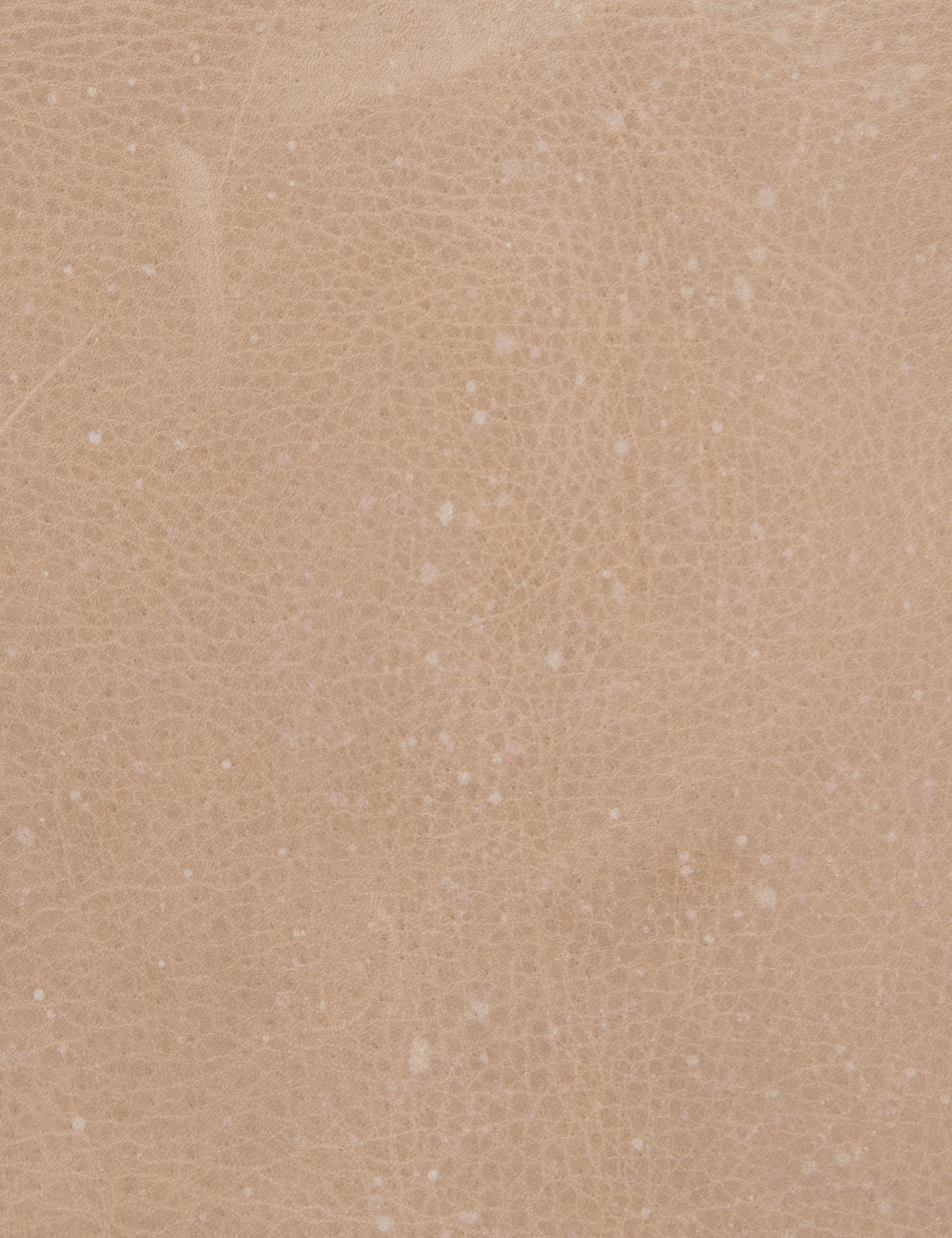 Lulu and Georgia Anouk Accent Chair - view 16